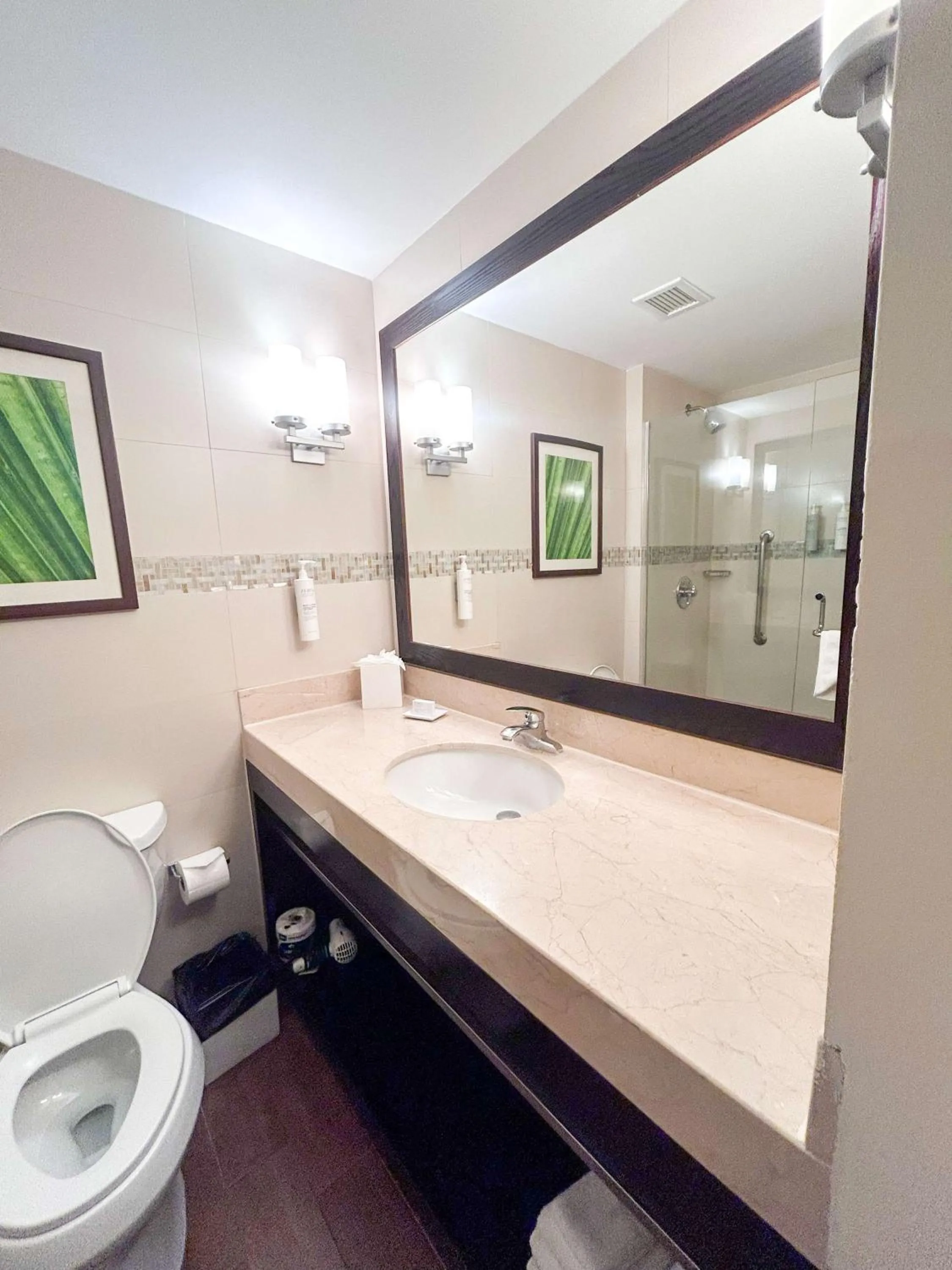 Bathroom in Hilton Garden Inn Panama City Downtown, Panama