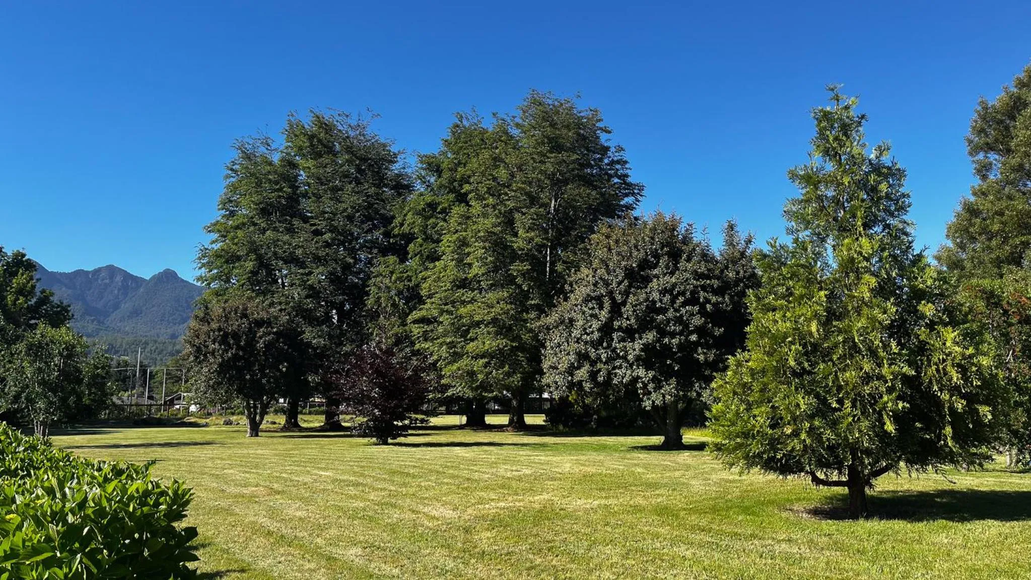 Hotel Pucon Green Park