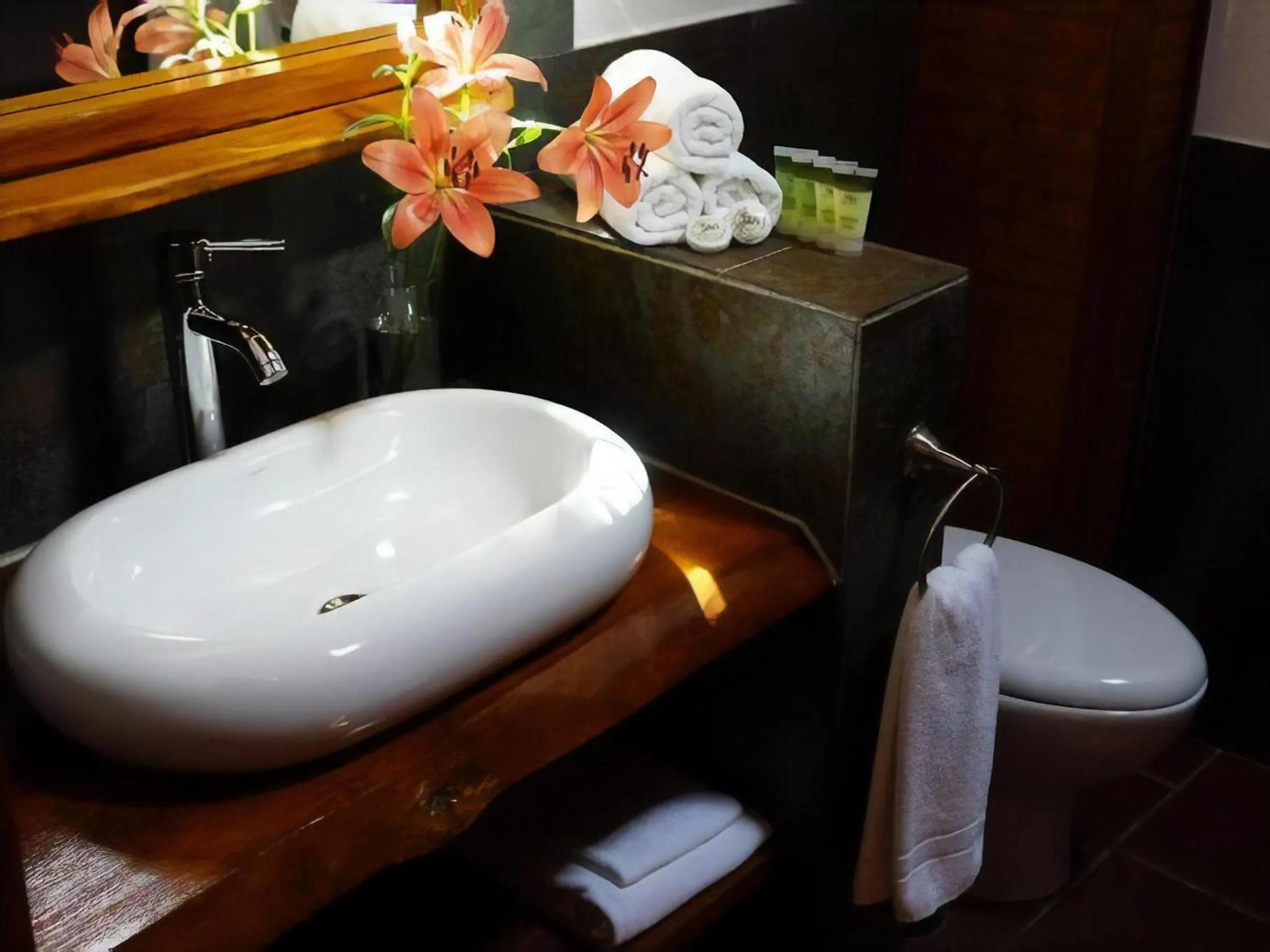 Hotel Pucon Green Park