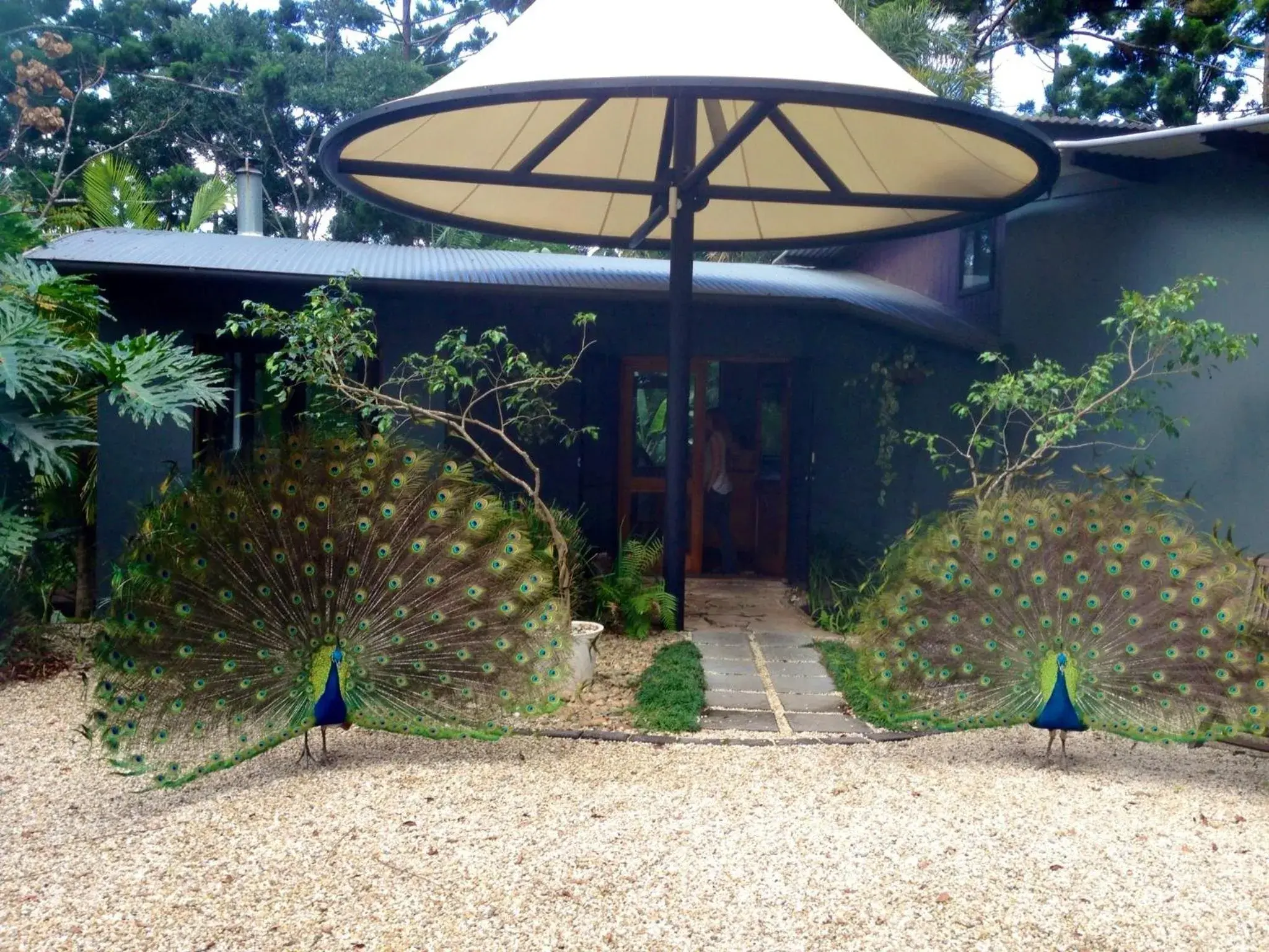 Facade/entrance in Azabu Retreat Facade/entrance in Azabu Retreat