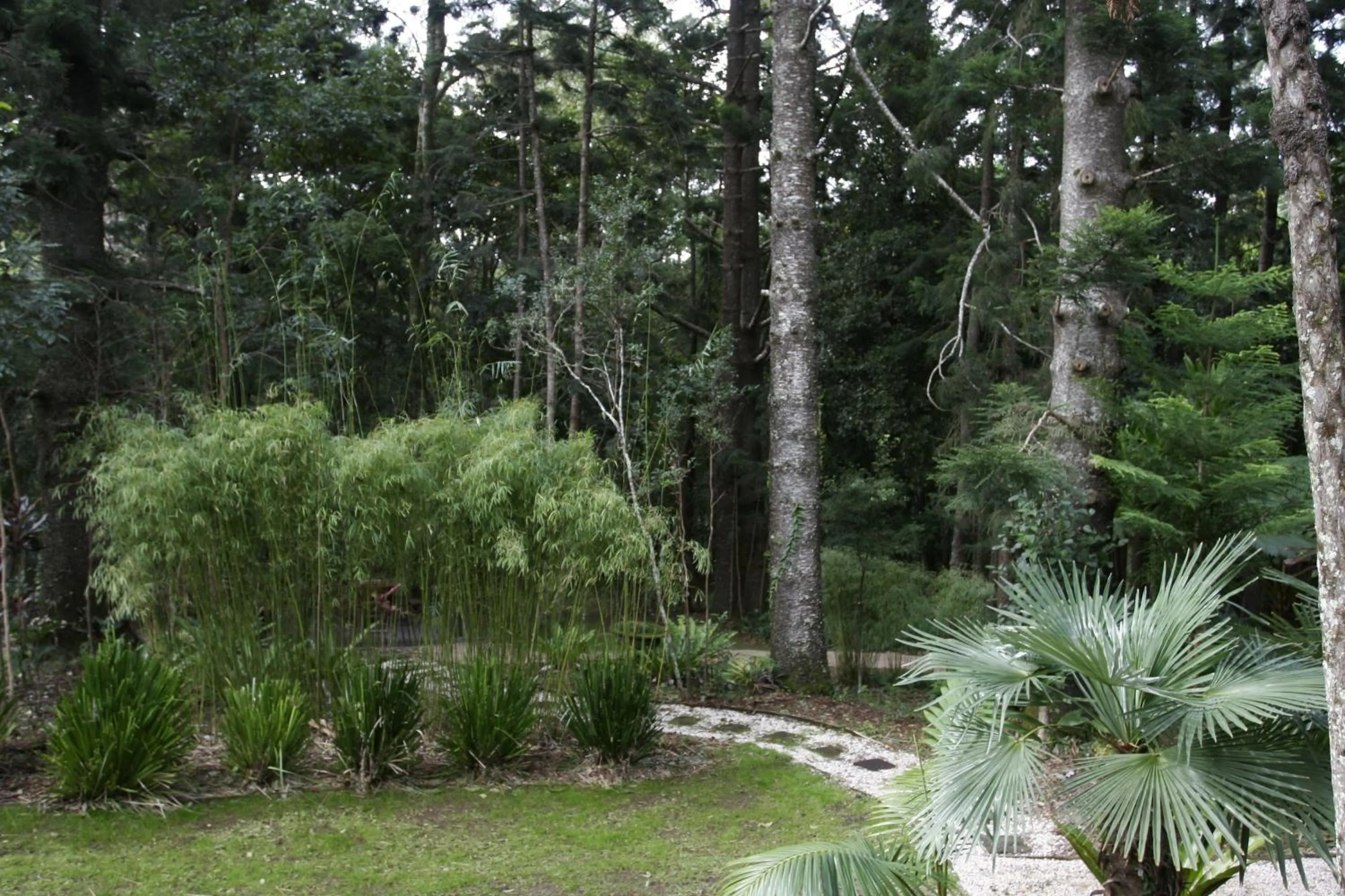 Day in Azabu Retreat