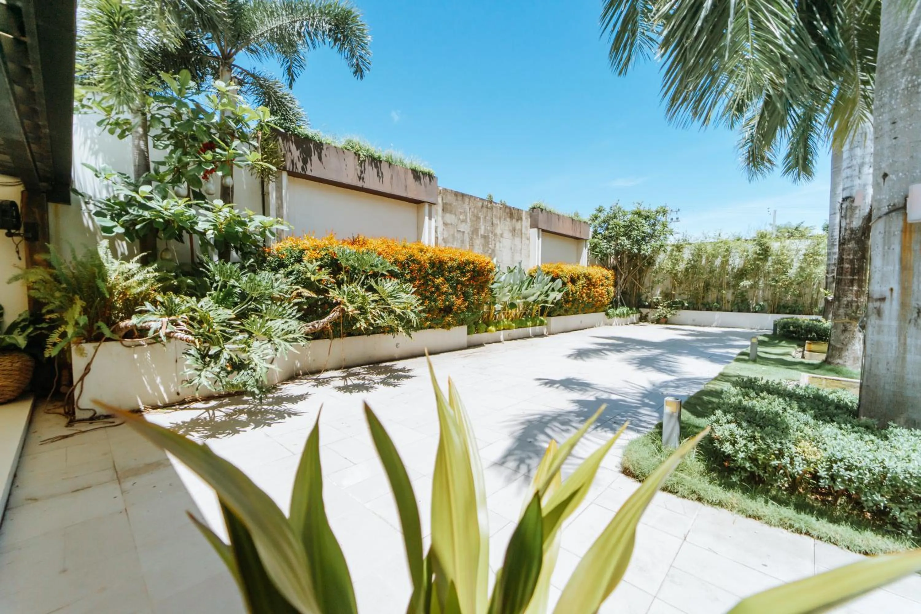 Garden in Sugarland Hotel