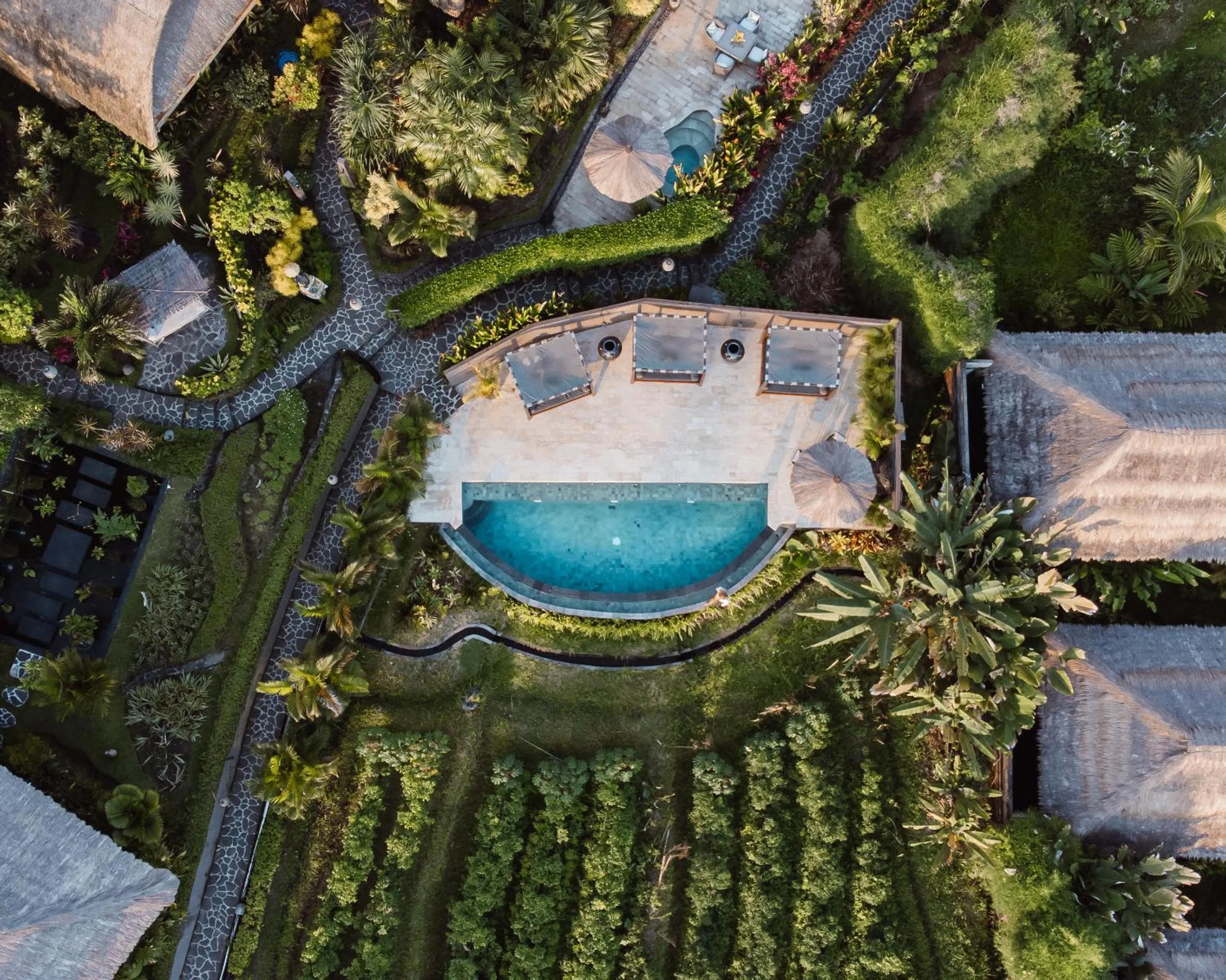 Garden in Samanvaya - Adults Only