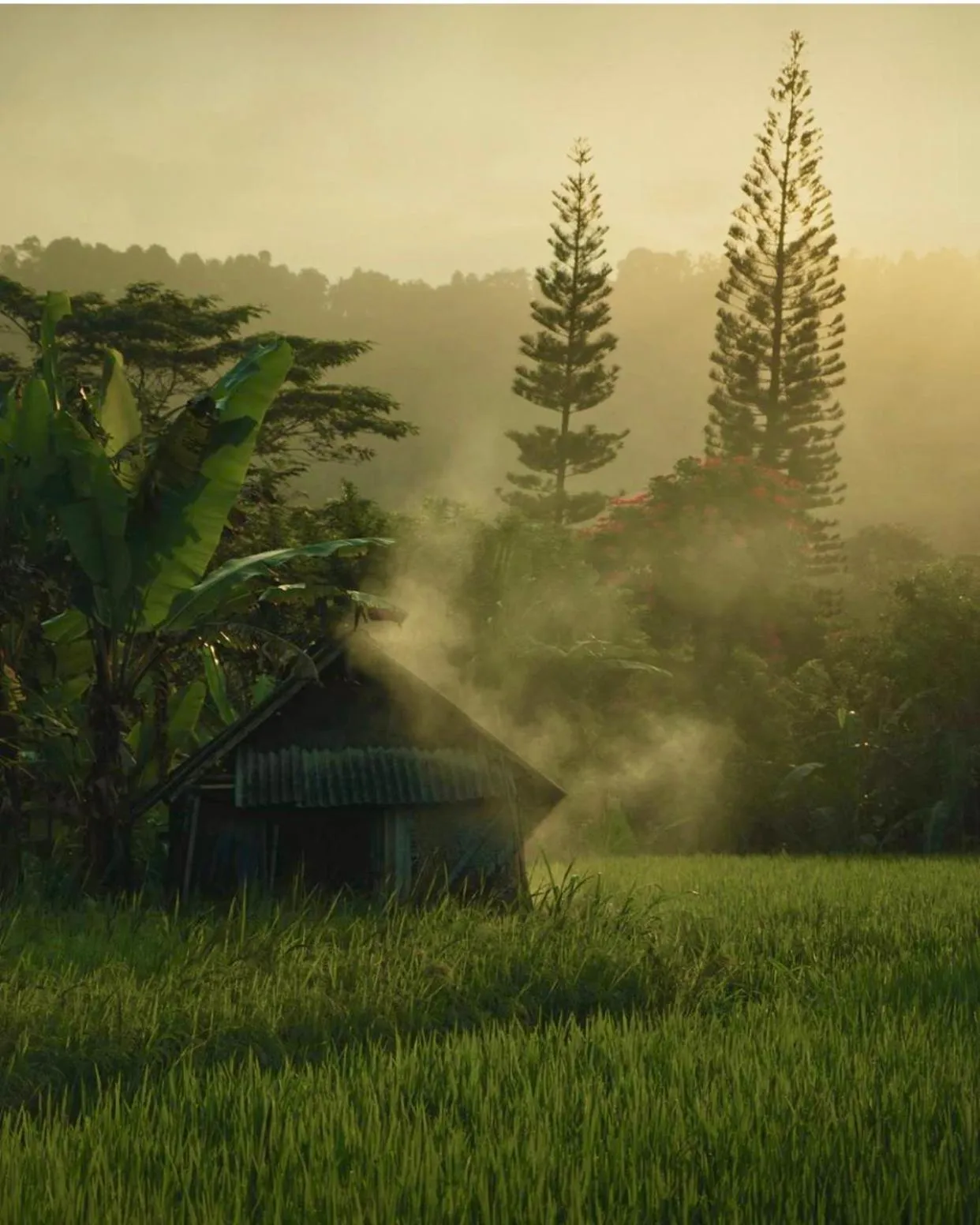 Activities in Samanvaya - Adults Only