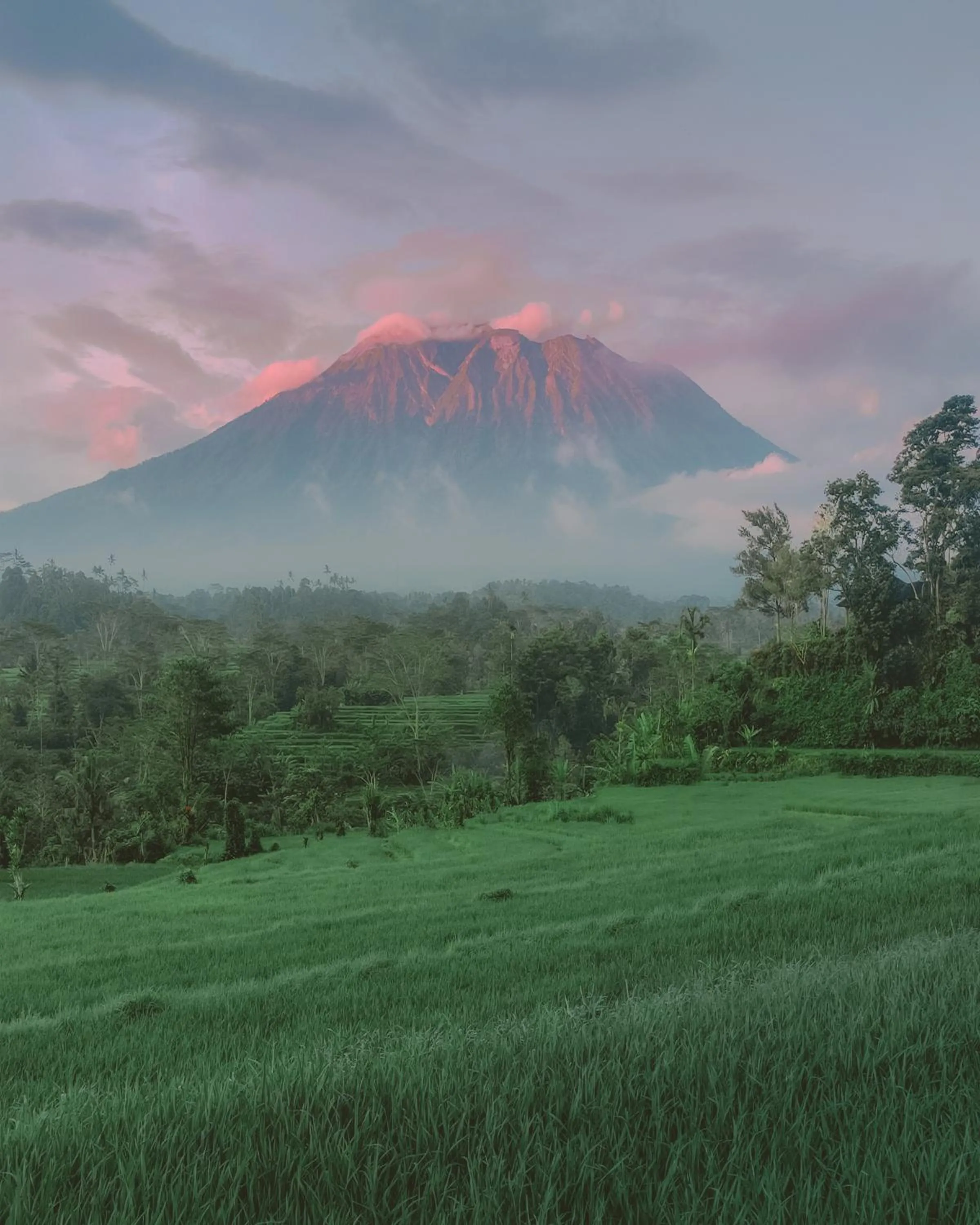 Natural landscape in Samanvaya - Adults Only