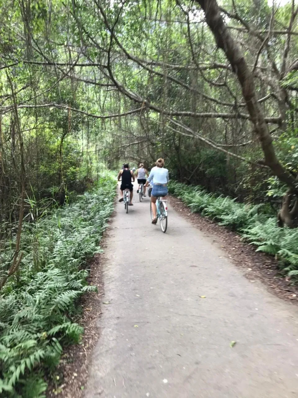 Spring in Phoenix Flower Hotel