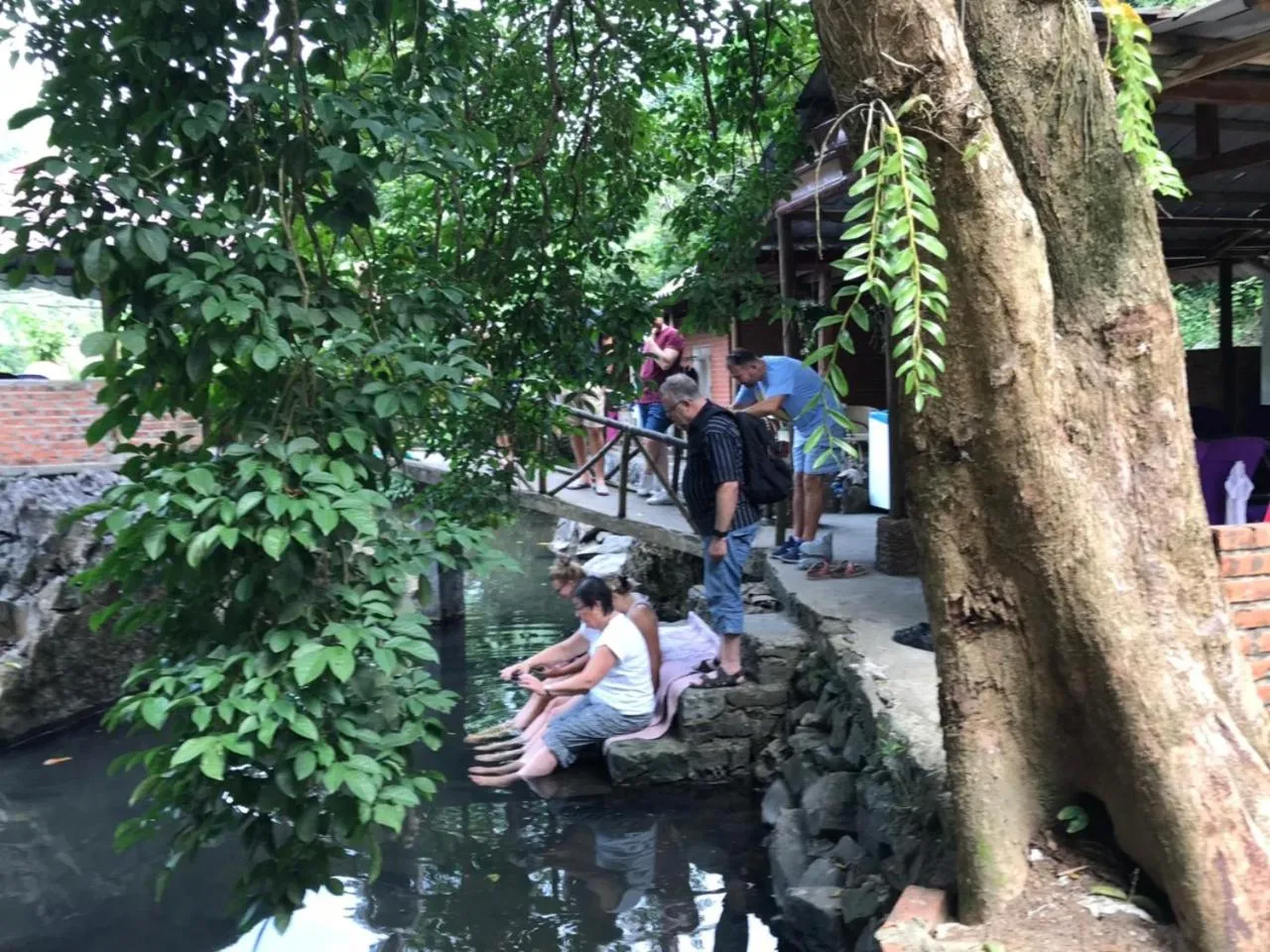 Spring in Phoenix Flower Hotel