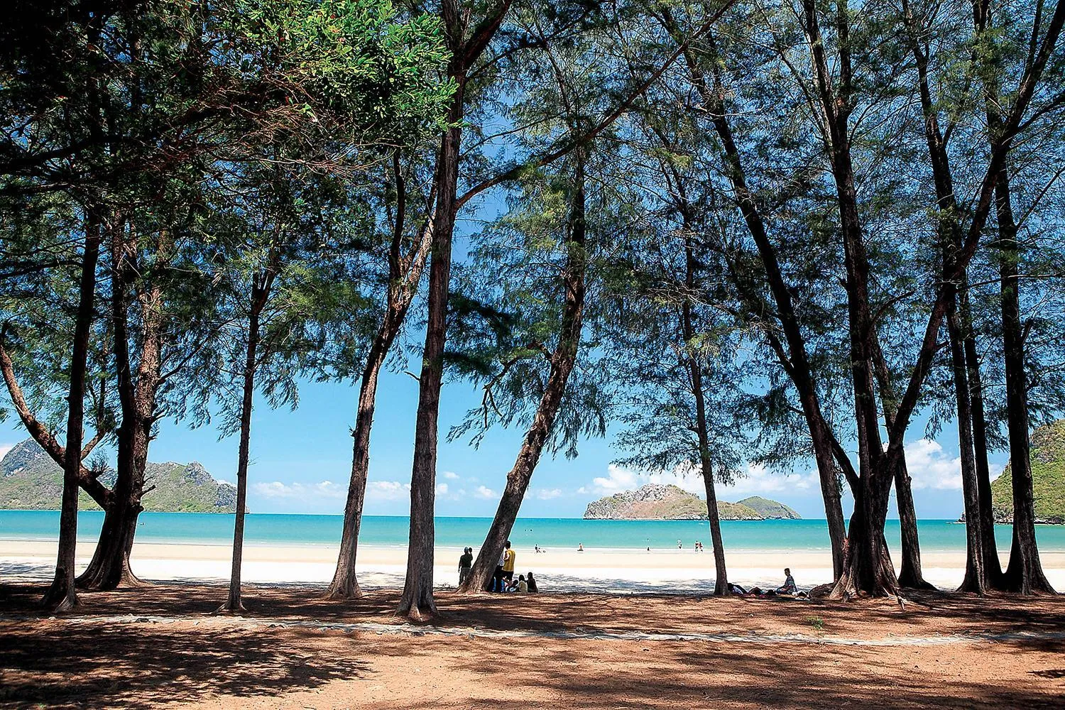 Beach in Tri-Shawa Resort