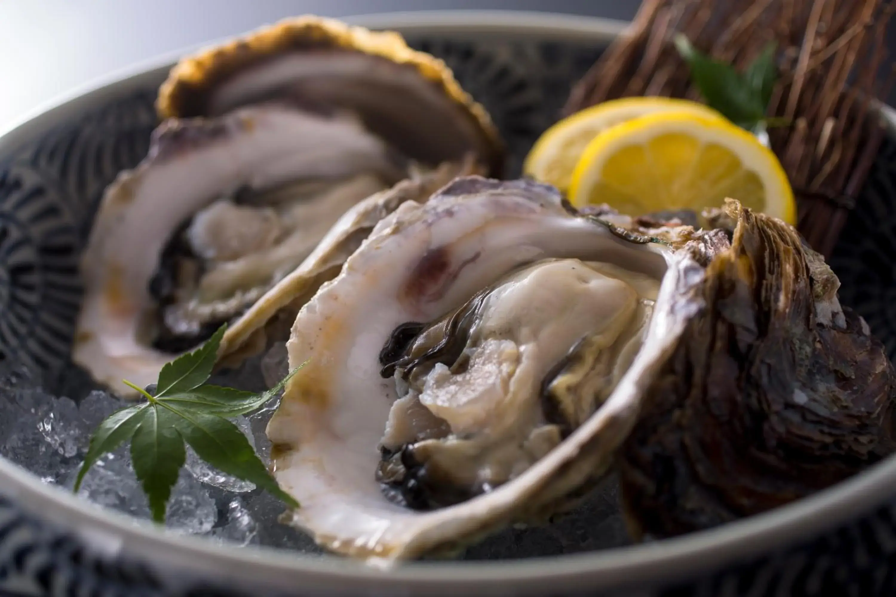 Food in Jukaitei Food in Jukaitei