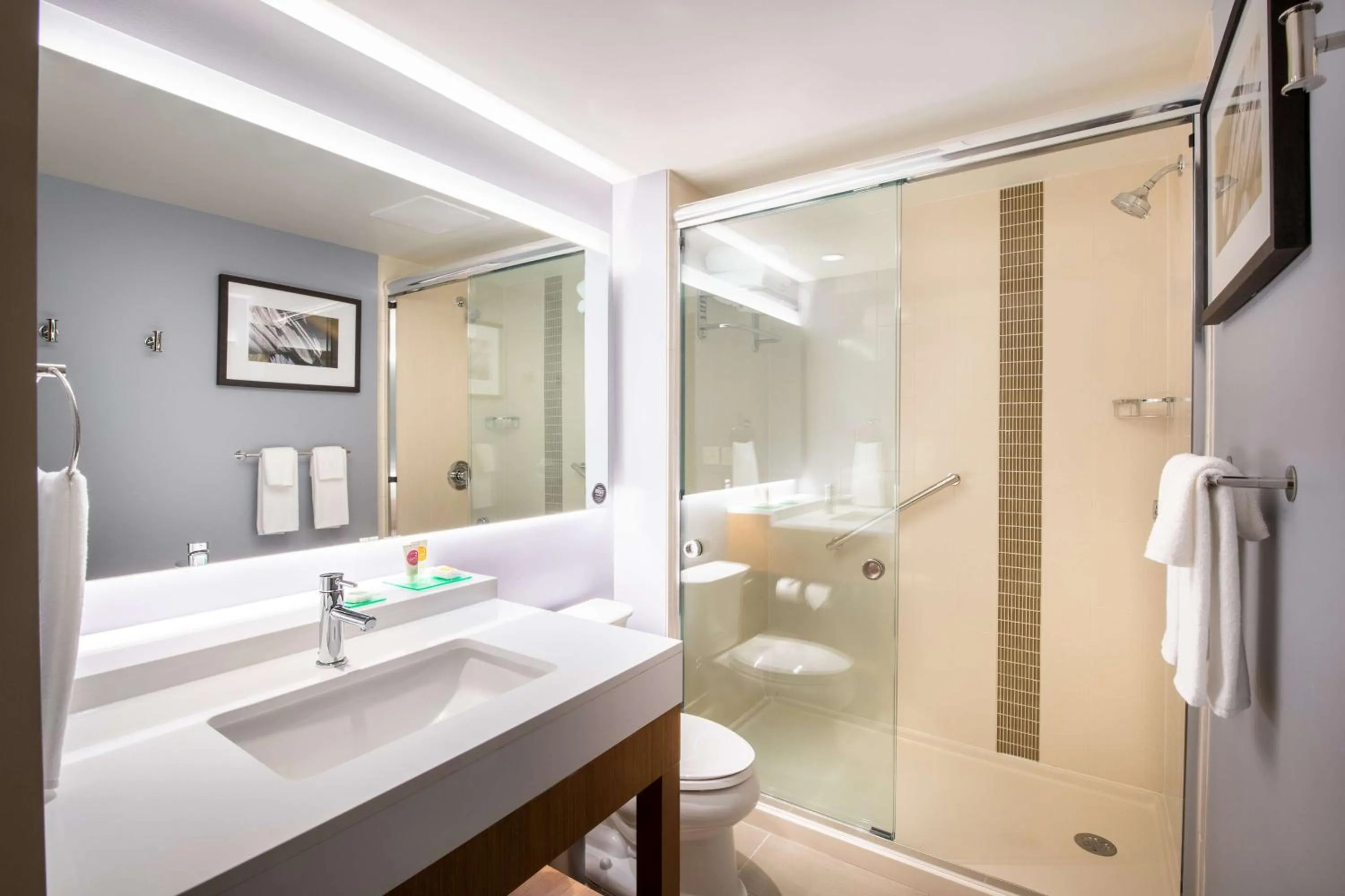 Shower in Hyatt Place East Moline/Quad Cities