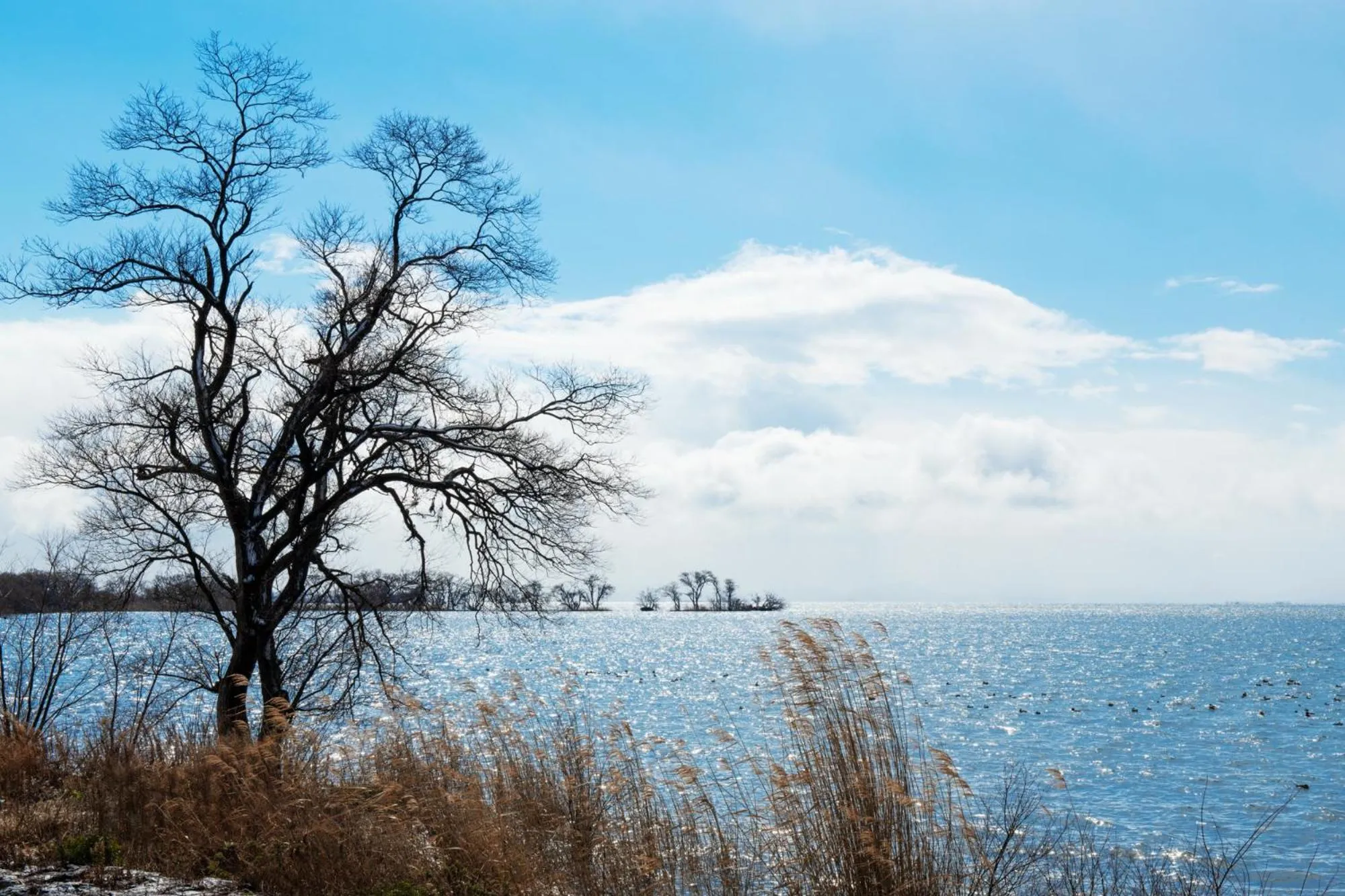 Natural landscape in Ryokan Beniayu