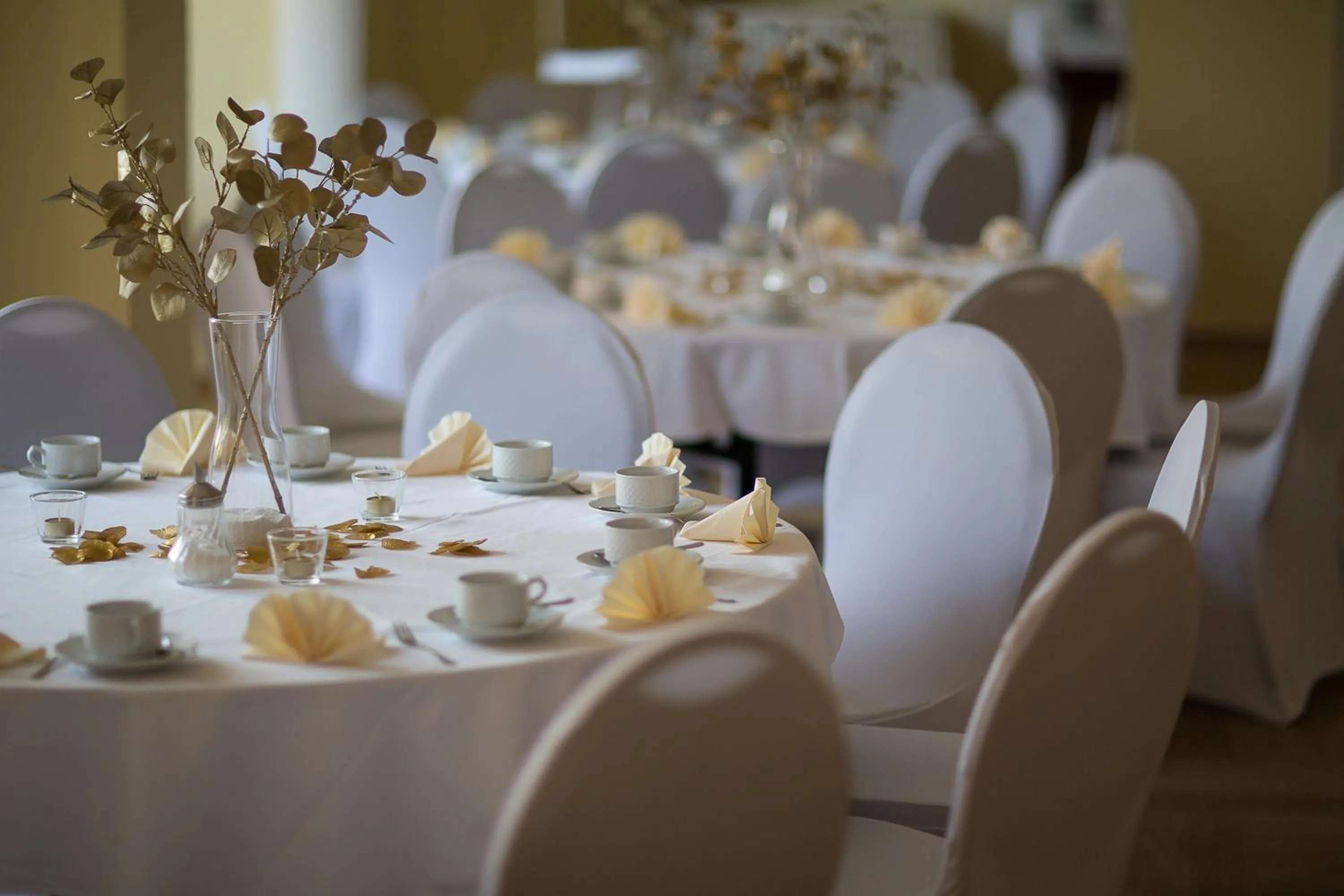 Meeting/conference room in Schloss Hotel Wallhausen