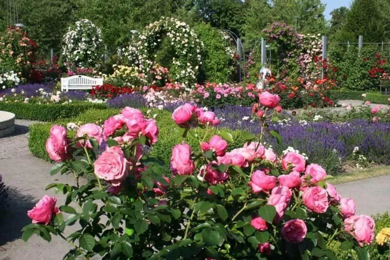 Garden in Schloss Hotel Wallhausen