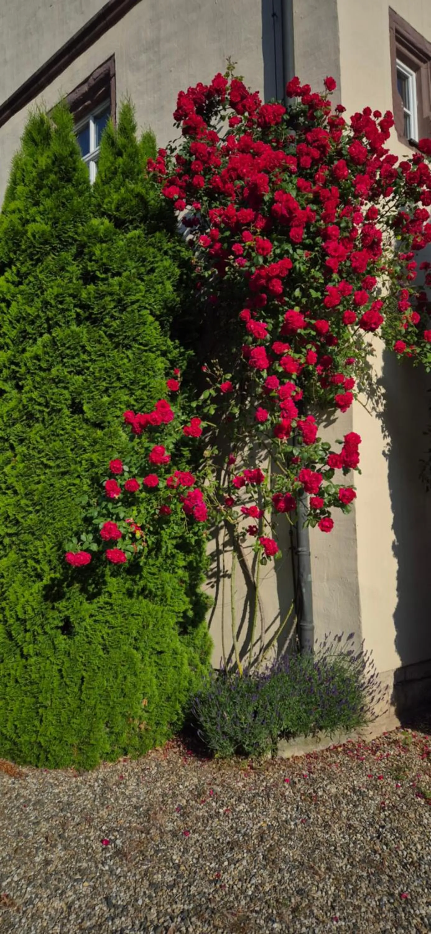 Garden in Schloss Hotel Wallhausen