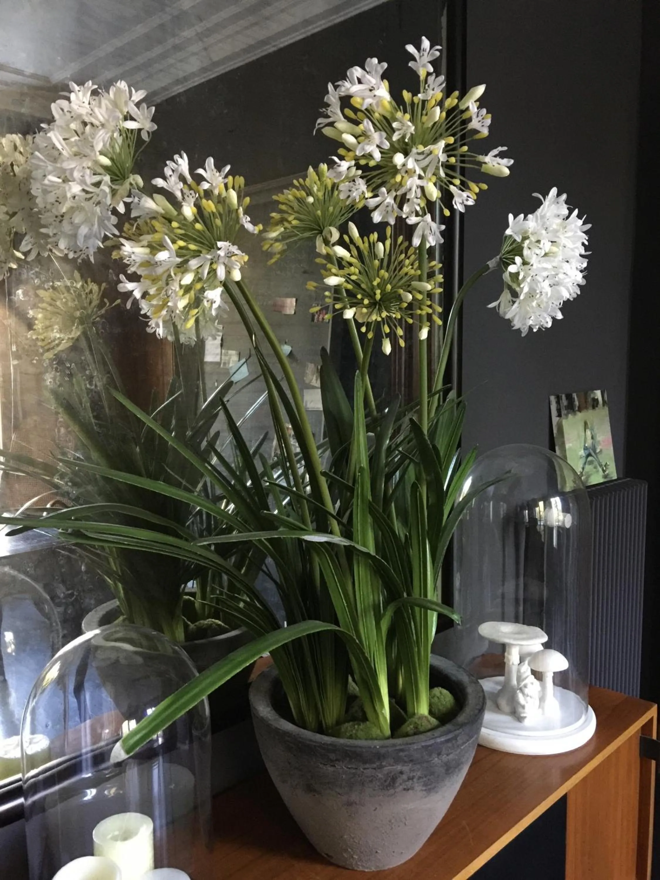 Decorative detail in La Villa 1901