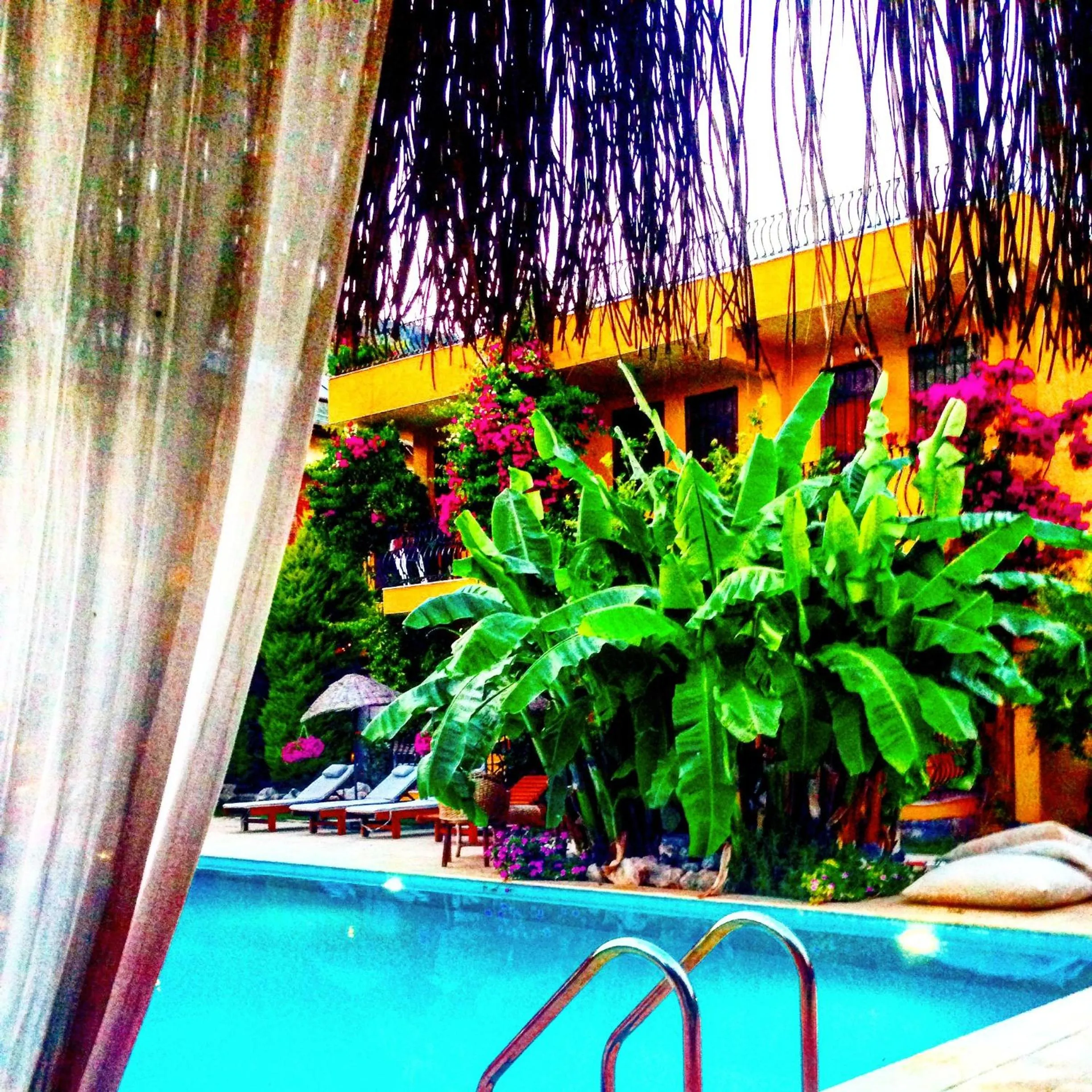 Garden in Han Boutique Hotel