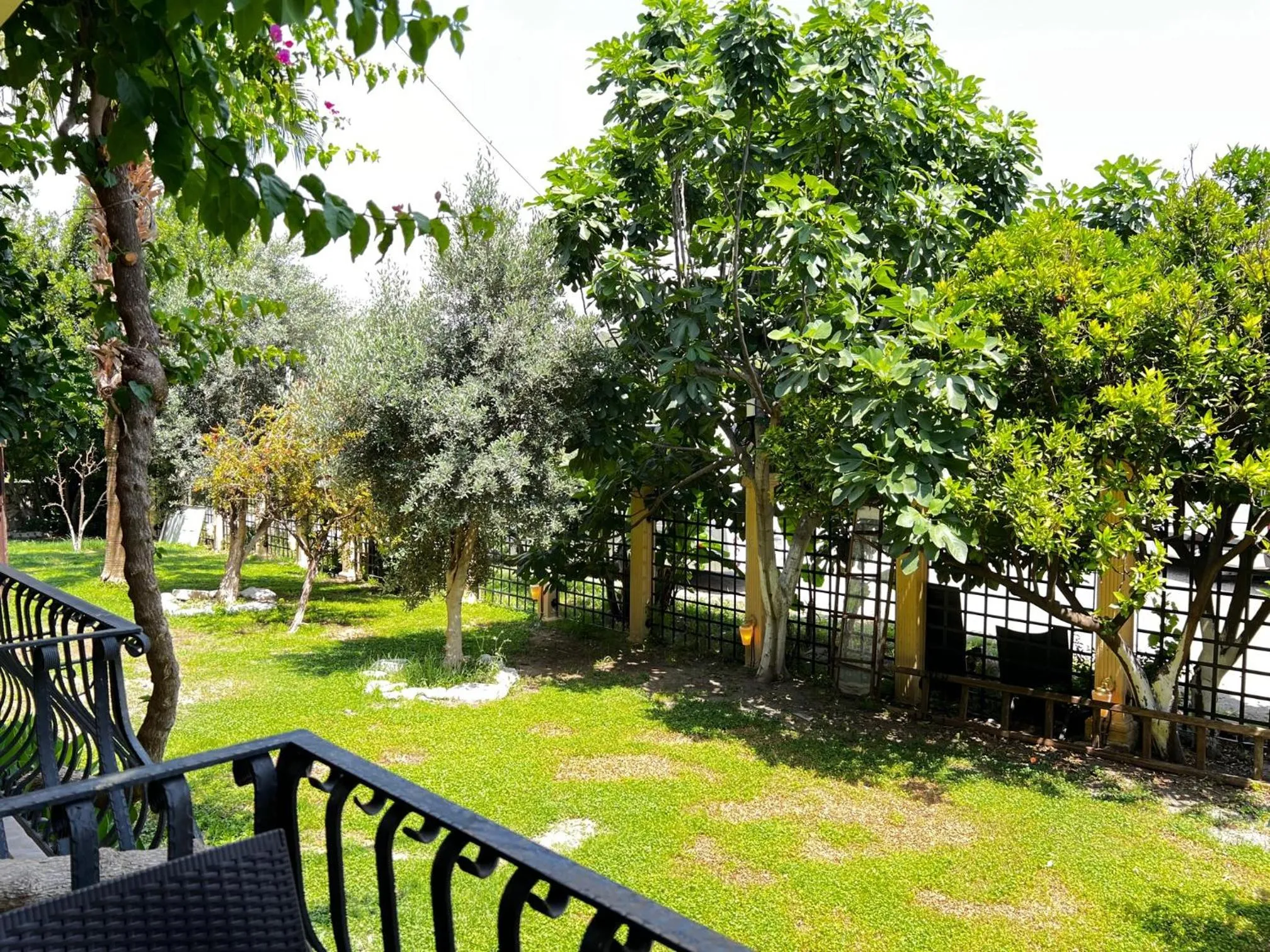 Garden view in Han Boutique Hotel