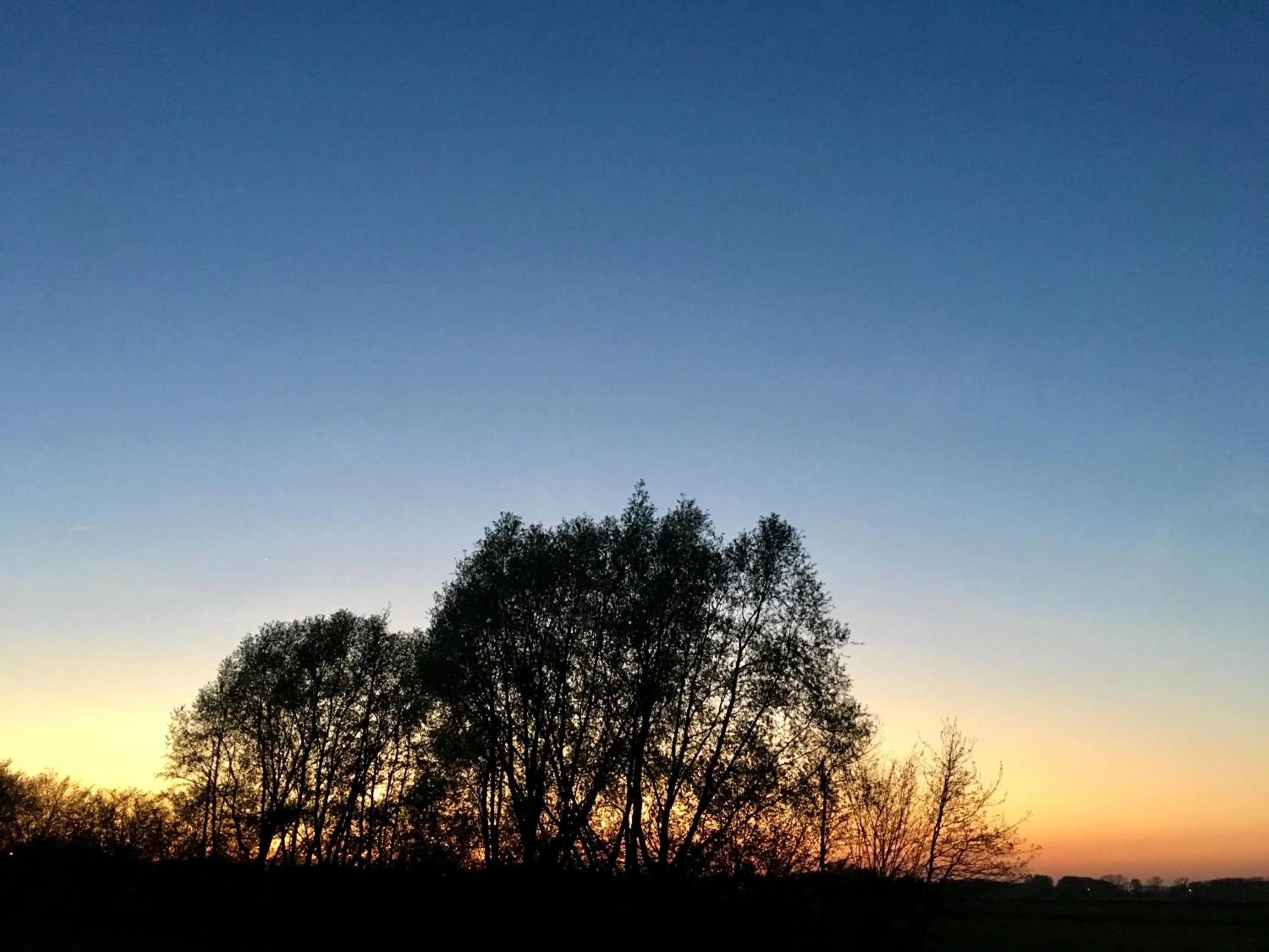 Natural landscape in akemi b&b