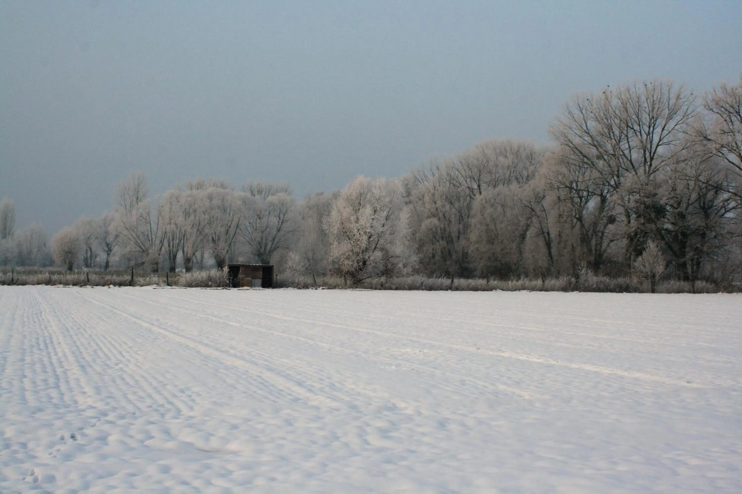 Natural landscape in akemi b&b