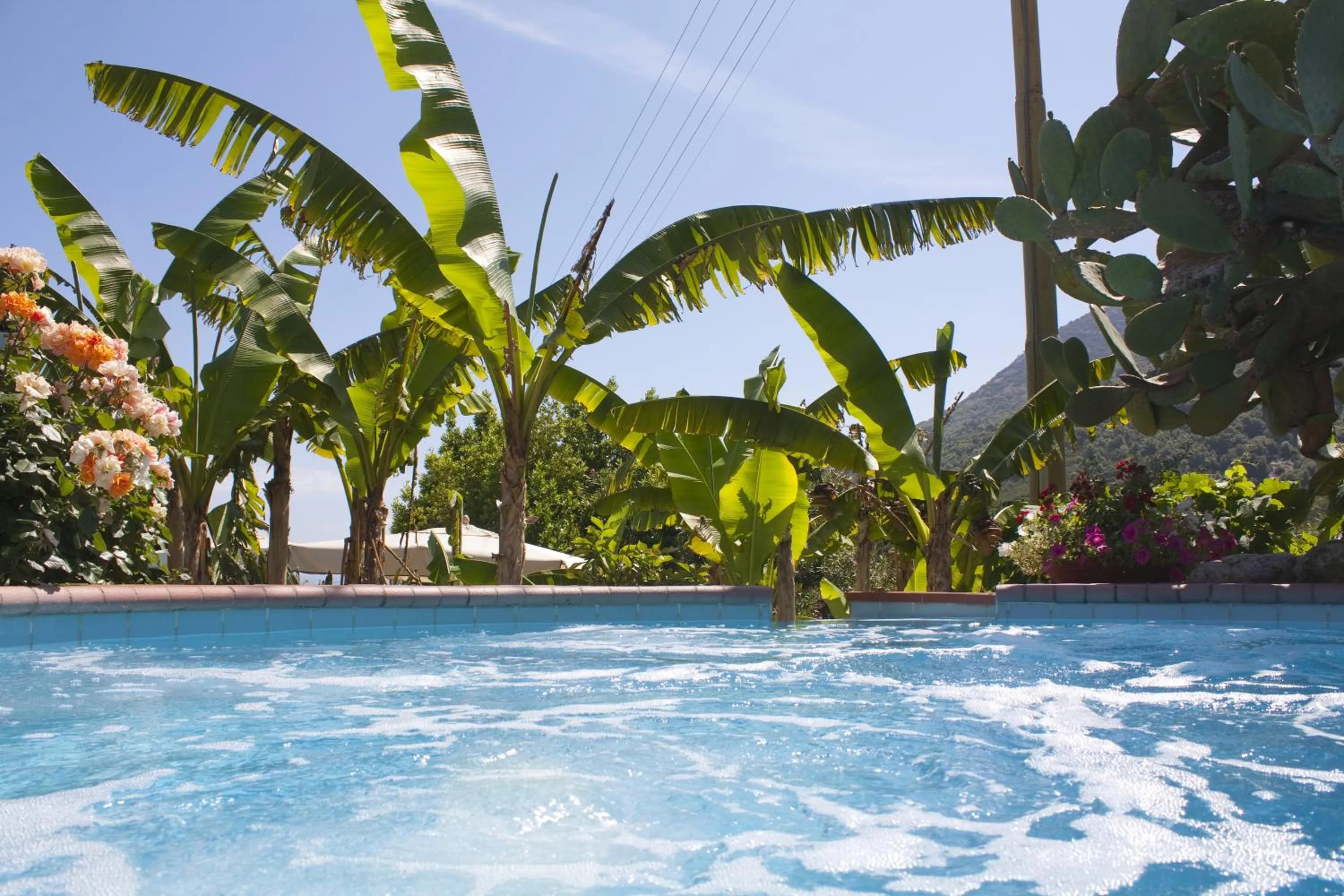 Day in Hotel Gallo Nero