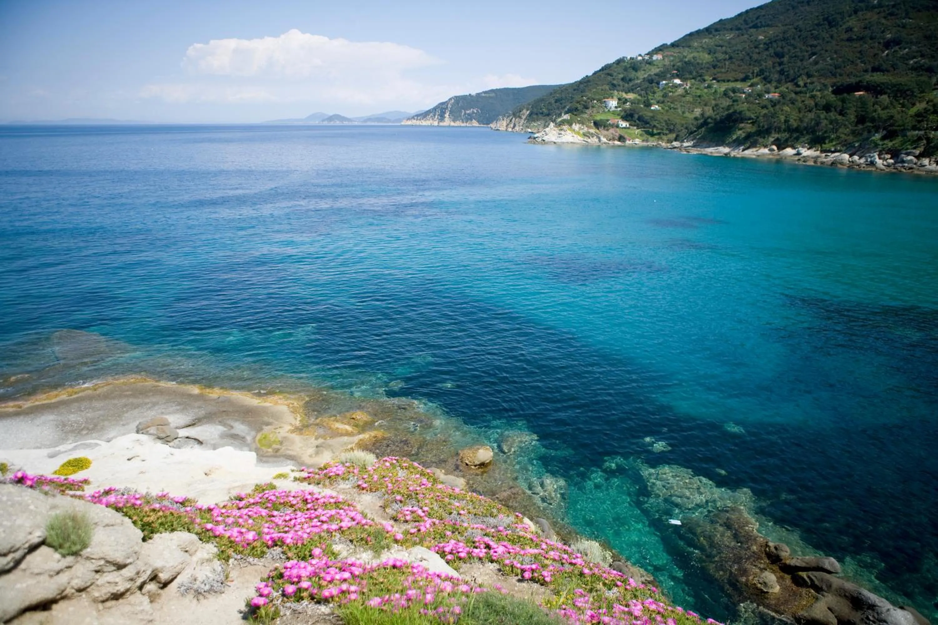 Day in Hotel Gallo Nero