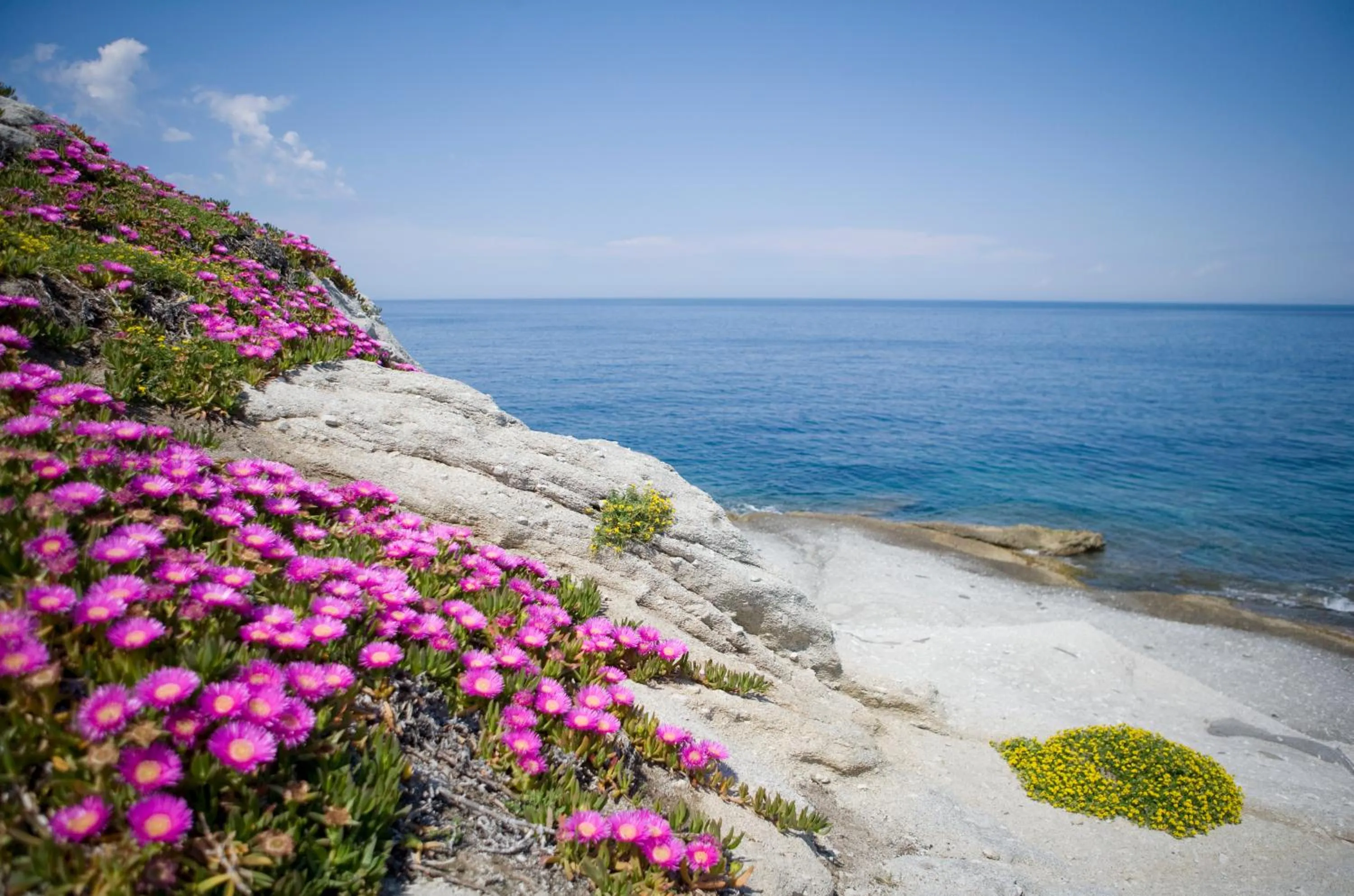 Day in Hotel Gallo Nero