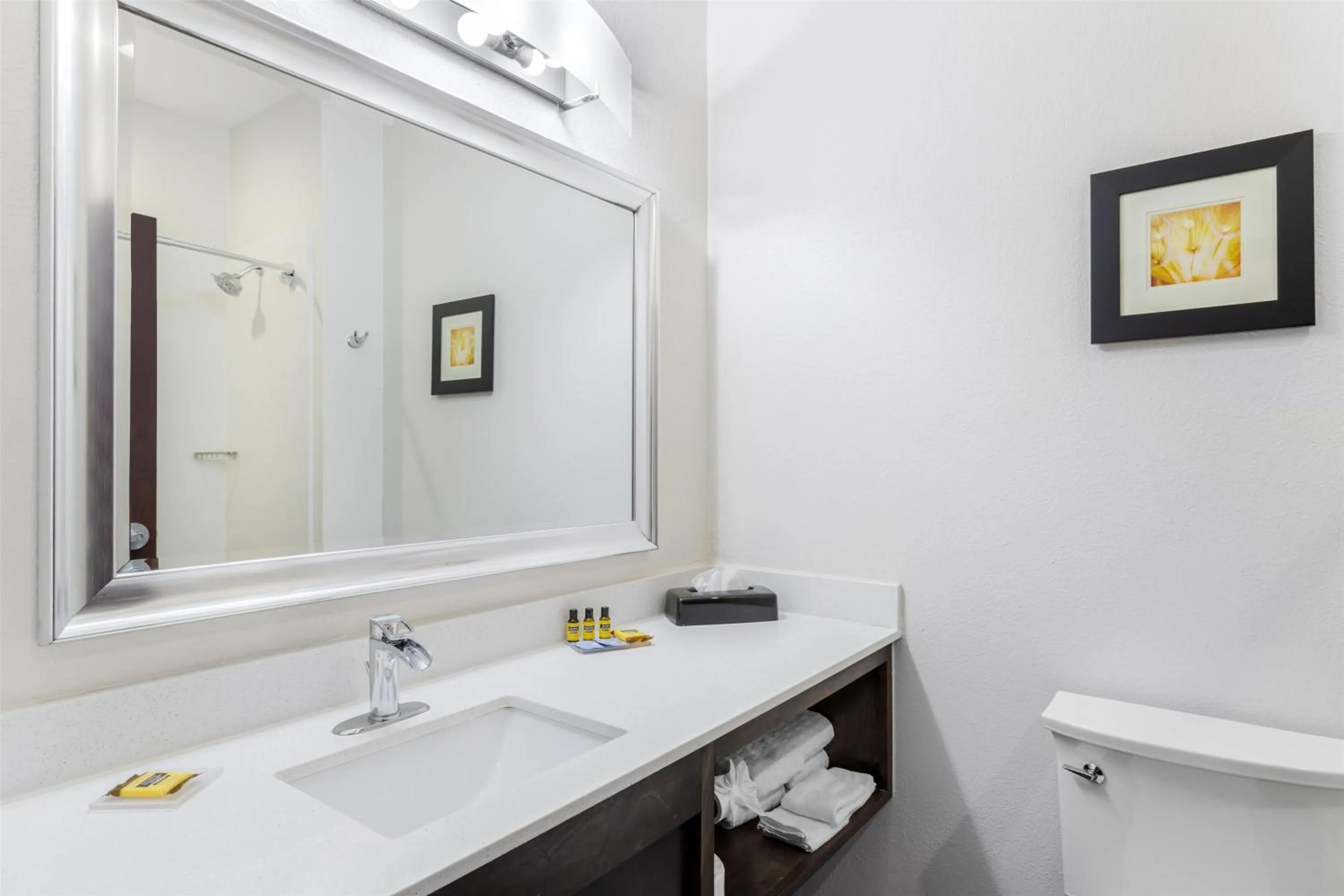 Bathroom in Best Western Plus Waller Hotel