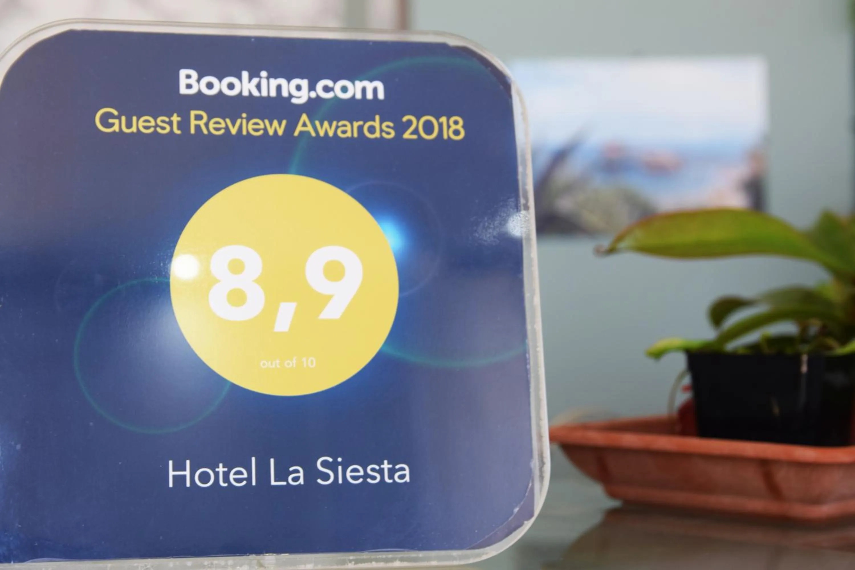Hotel La Siesta