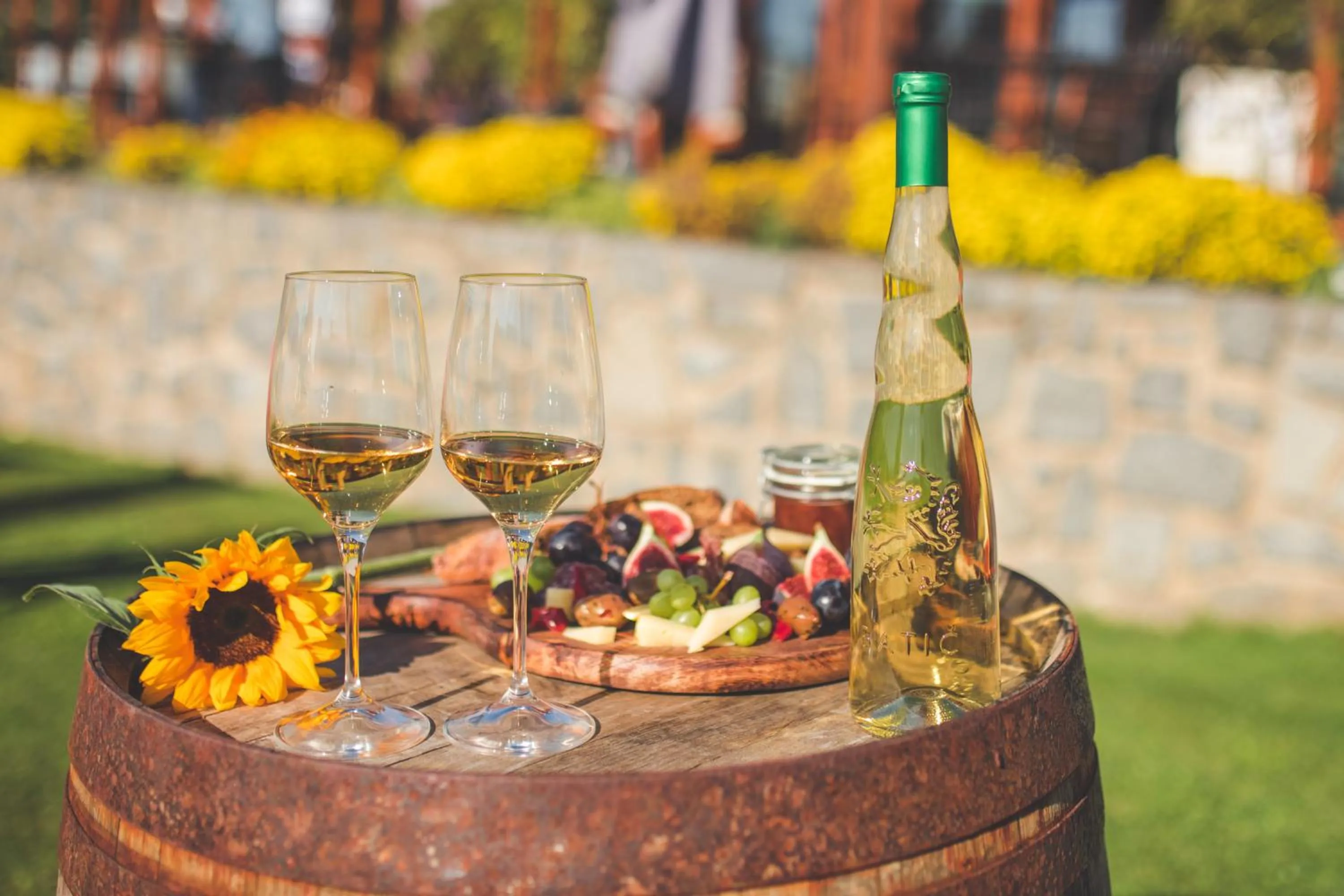 Food and drinks in Hotel SLUNEČNÁ LOUKA