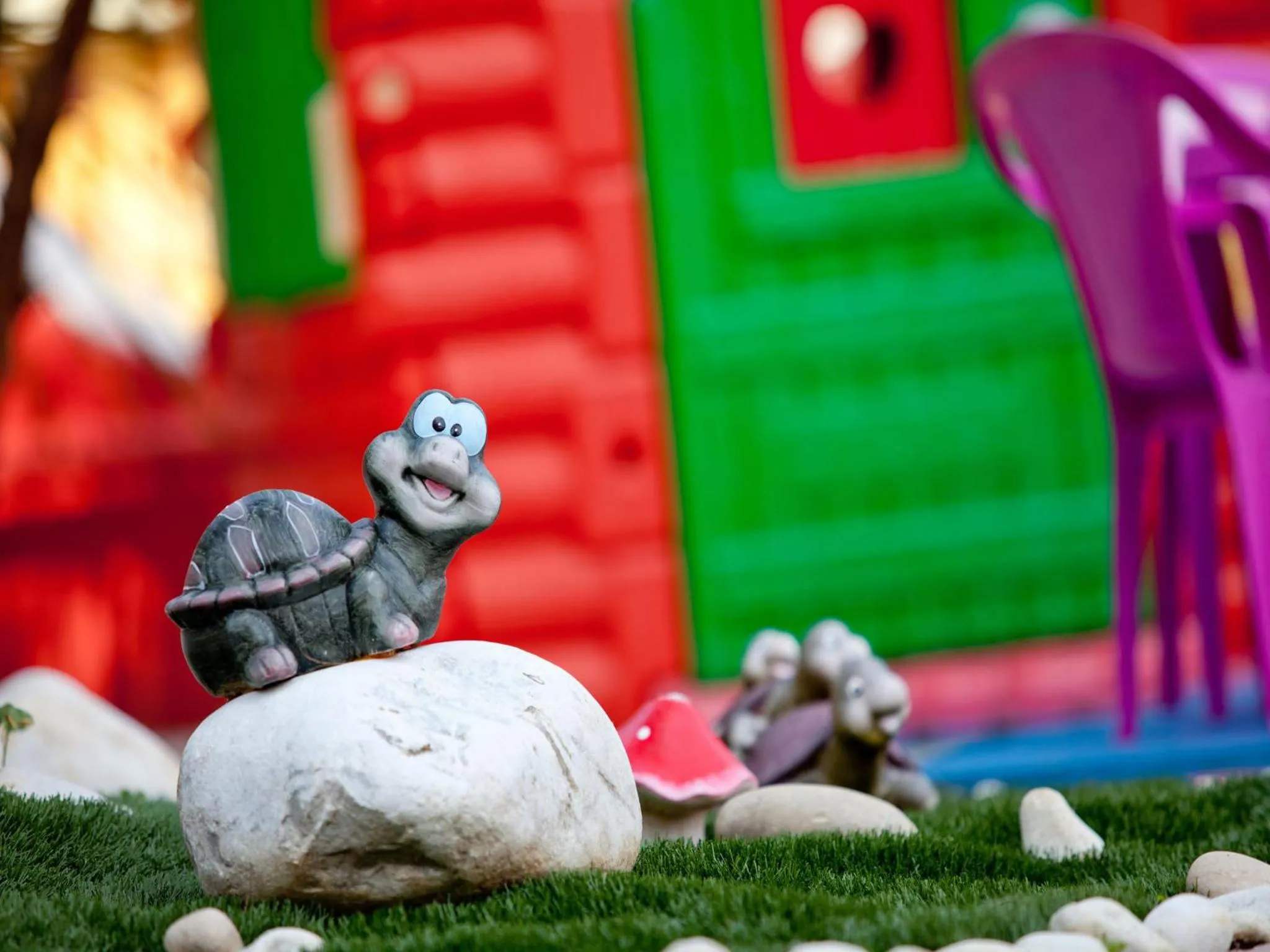 Garden in Hotel Ambassador