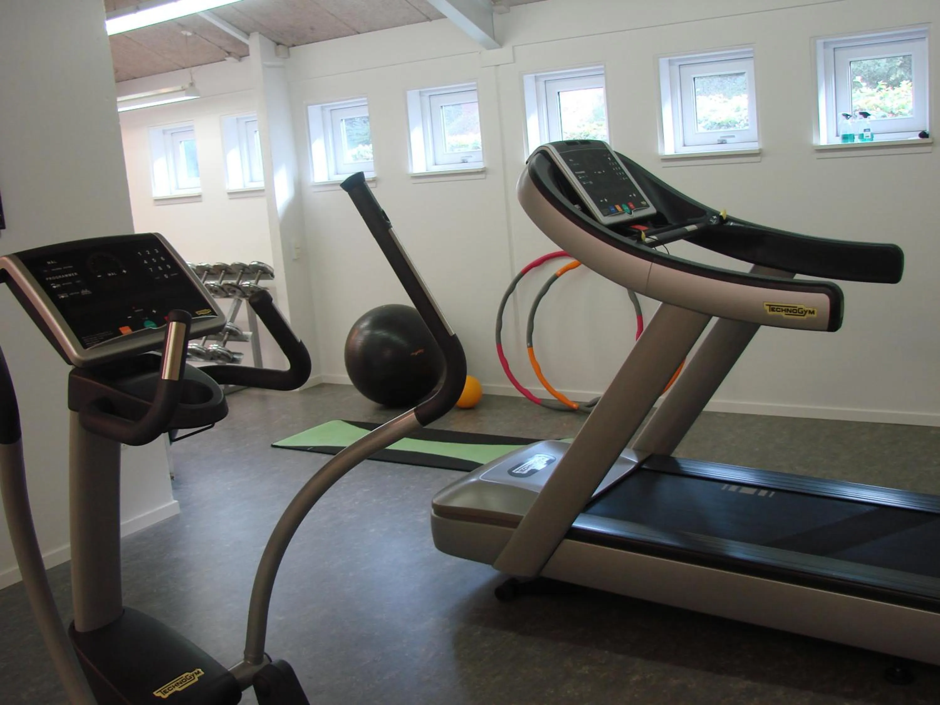 Fitness centre/facilities in Vingsted Hotel & Konferencecenter