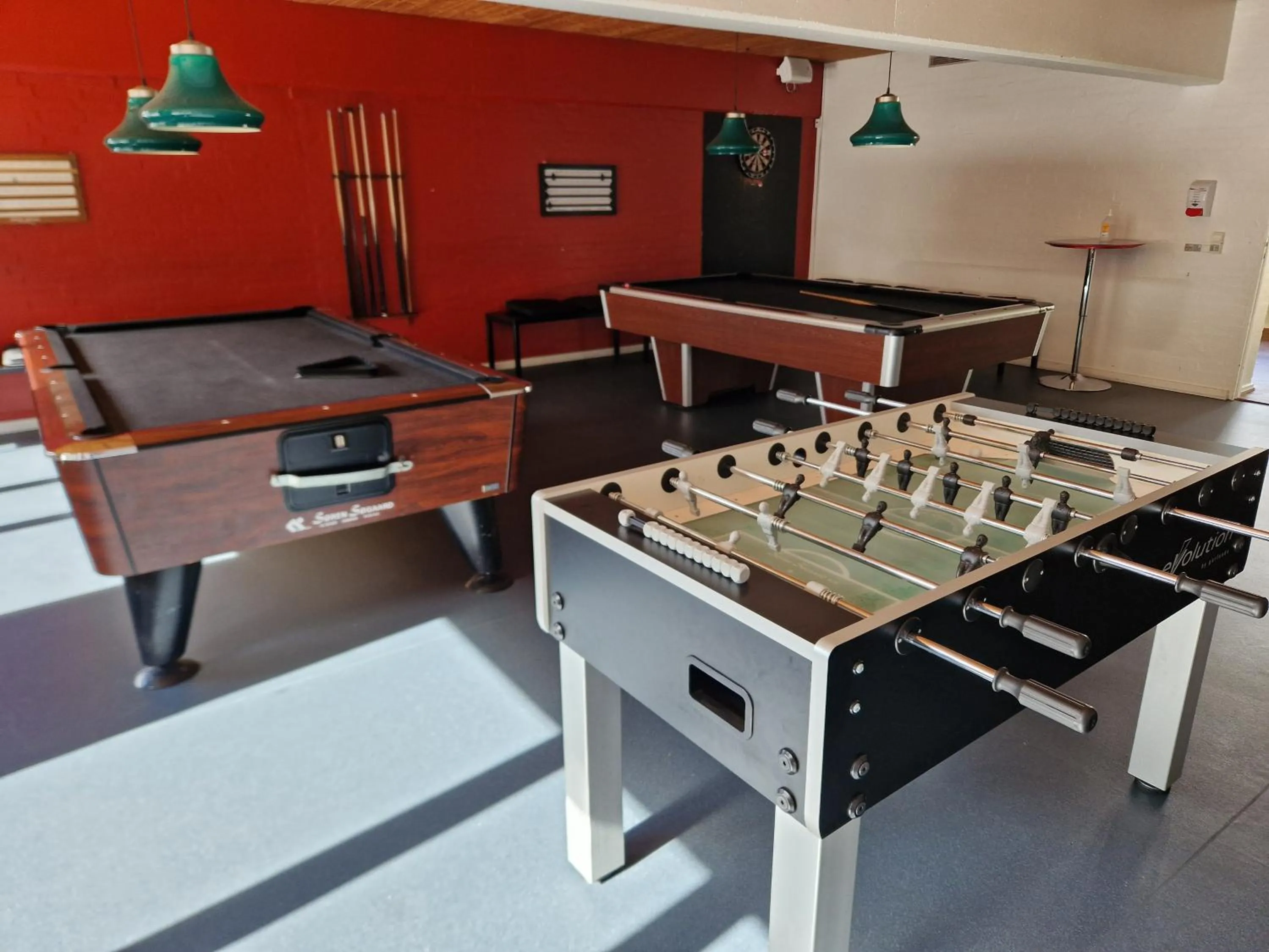 Activities in Vingsted Hotel & Konferencecenter