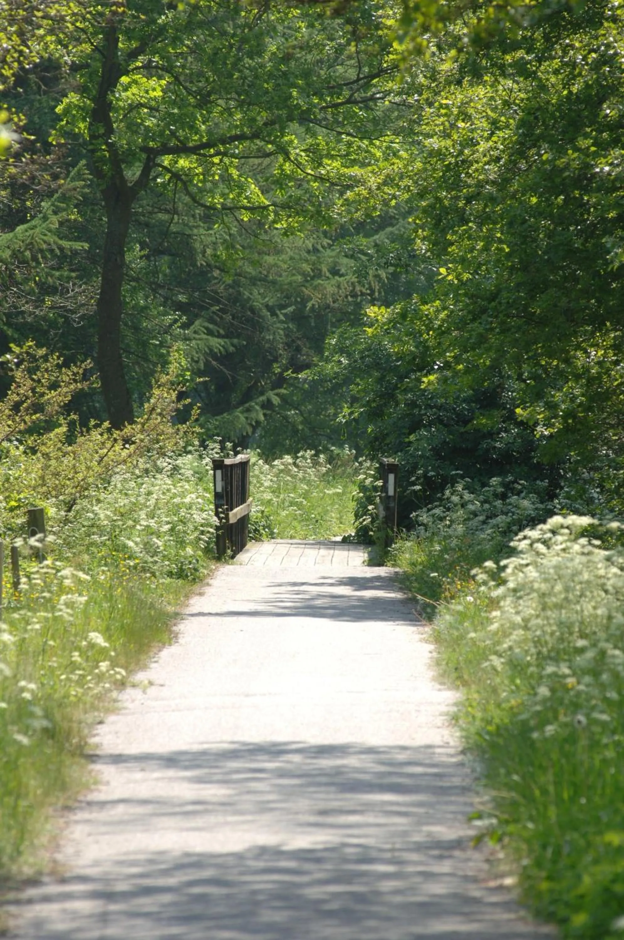 Natural landscape in Vingsted Hotel & Konferencecenter