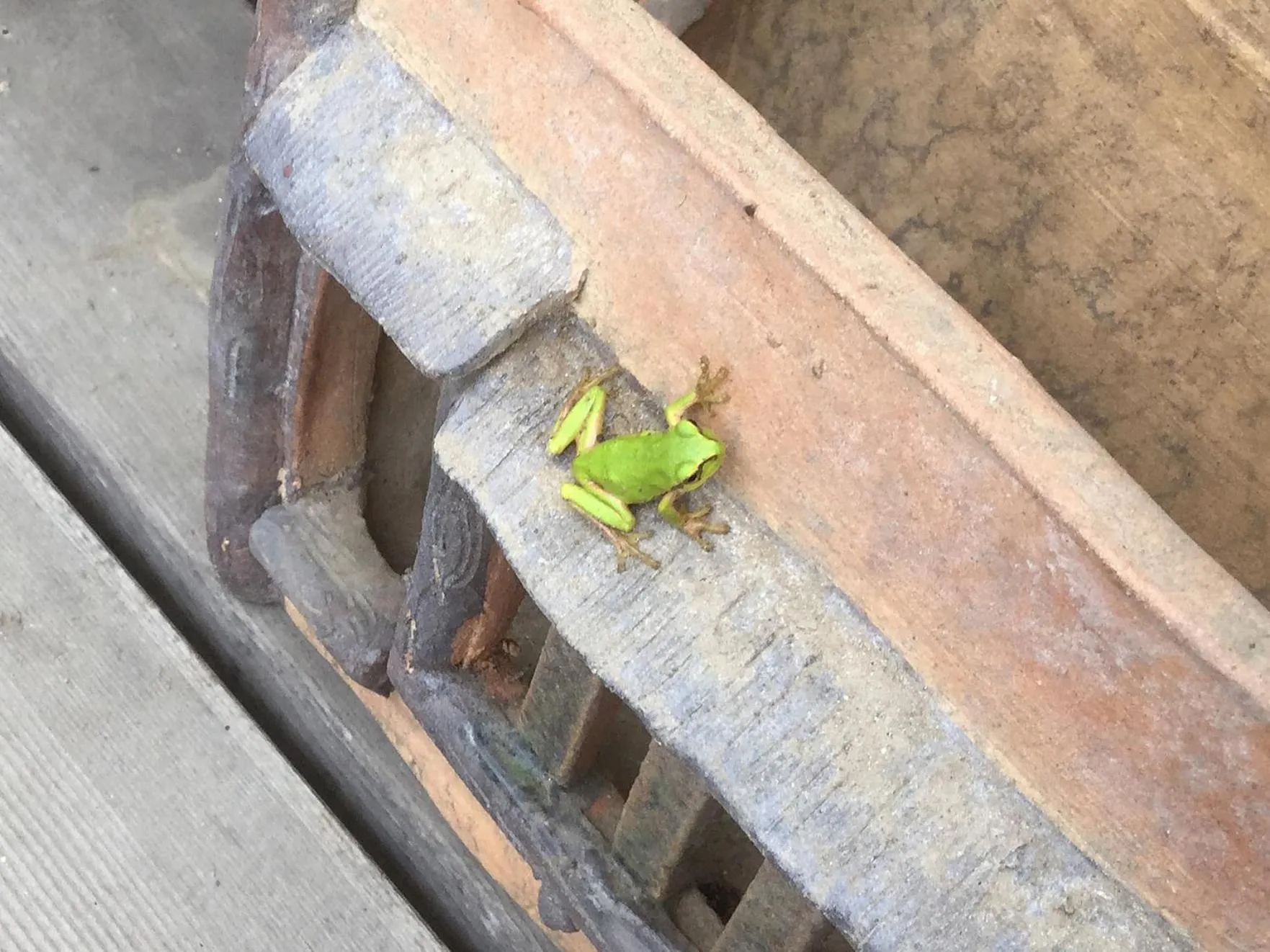 Balcony/Terrace in Morino Garden Mashiko