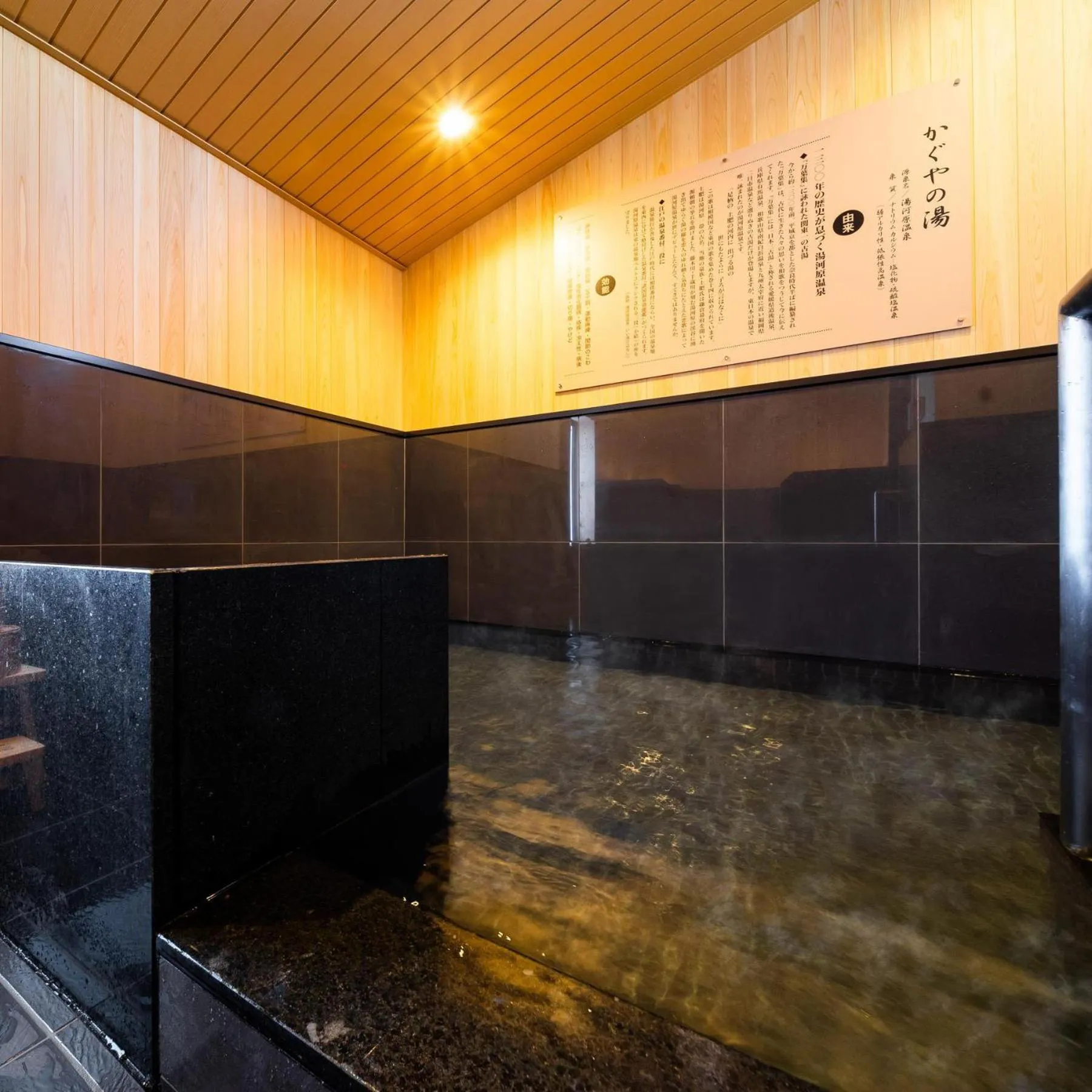 Super Hotel Fuji Inter