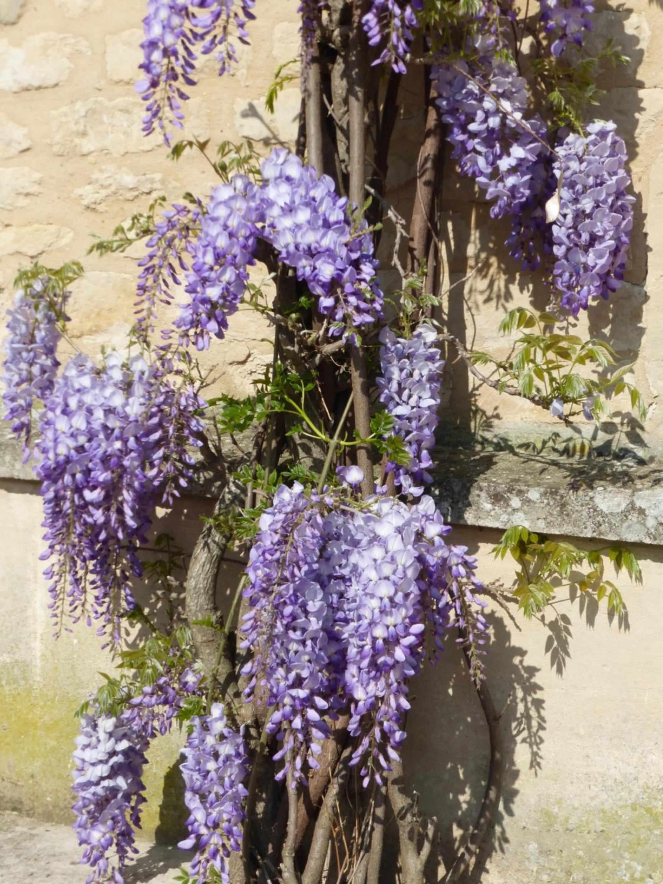 Facade/entrance in La Charretterie