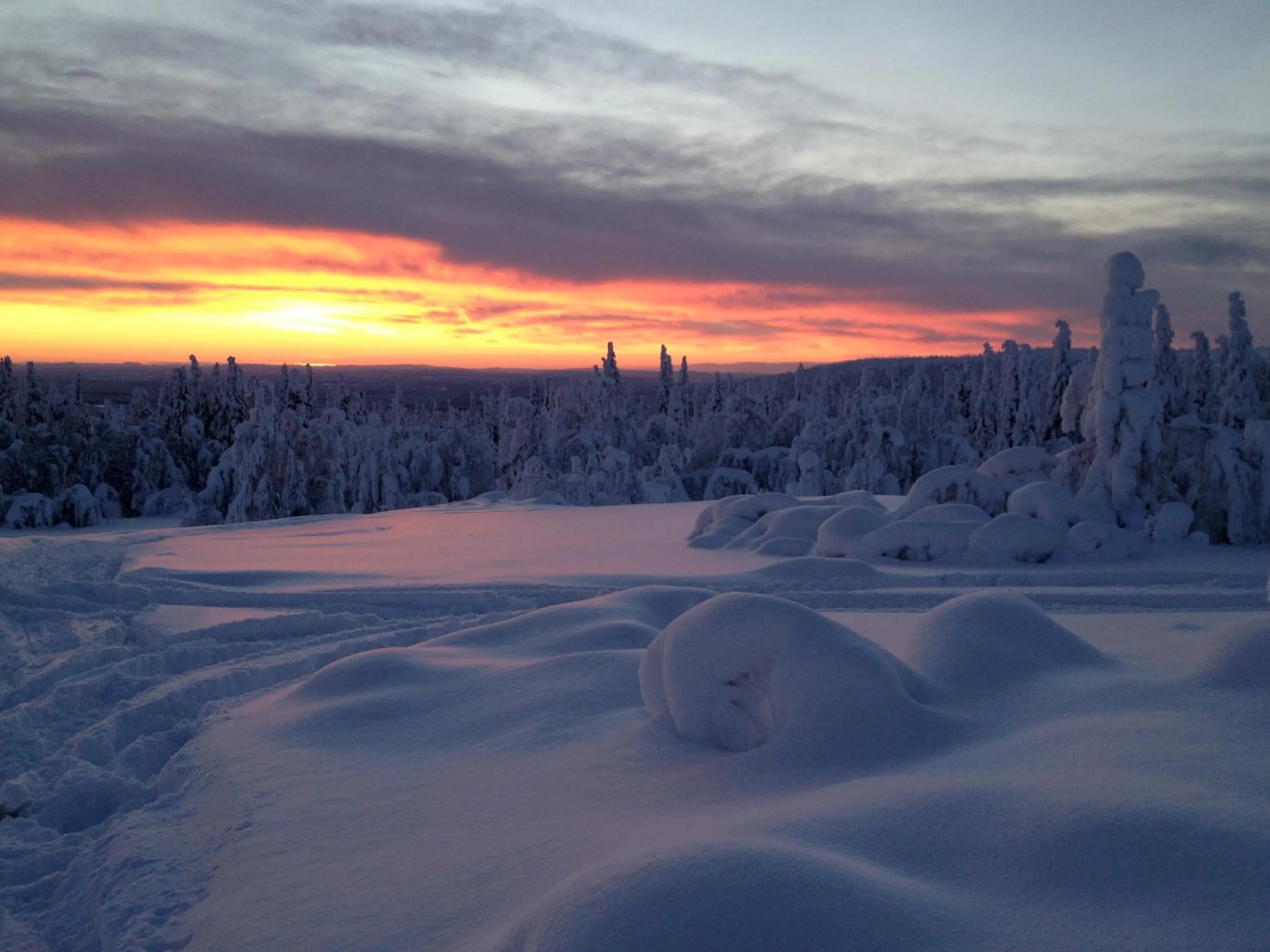 Winter in Hotell Vindelngallerian