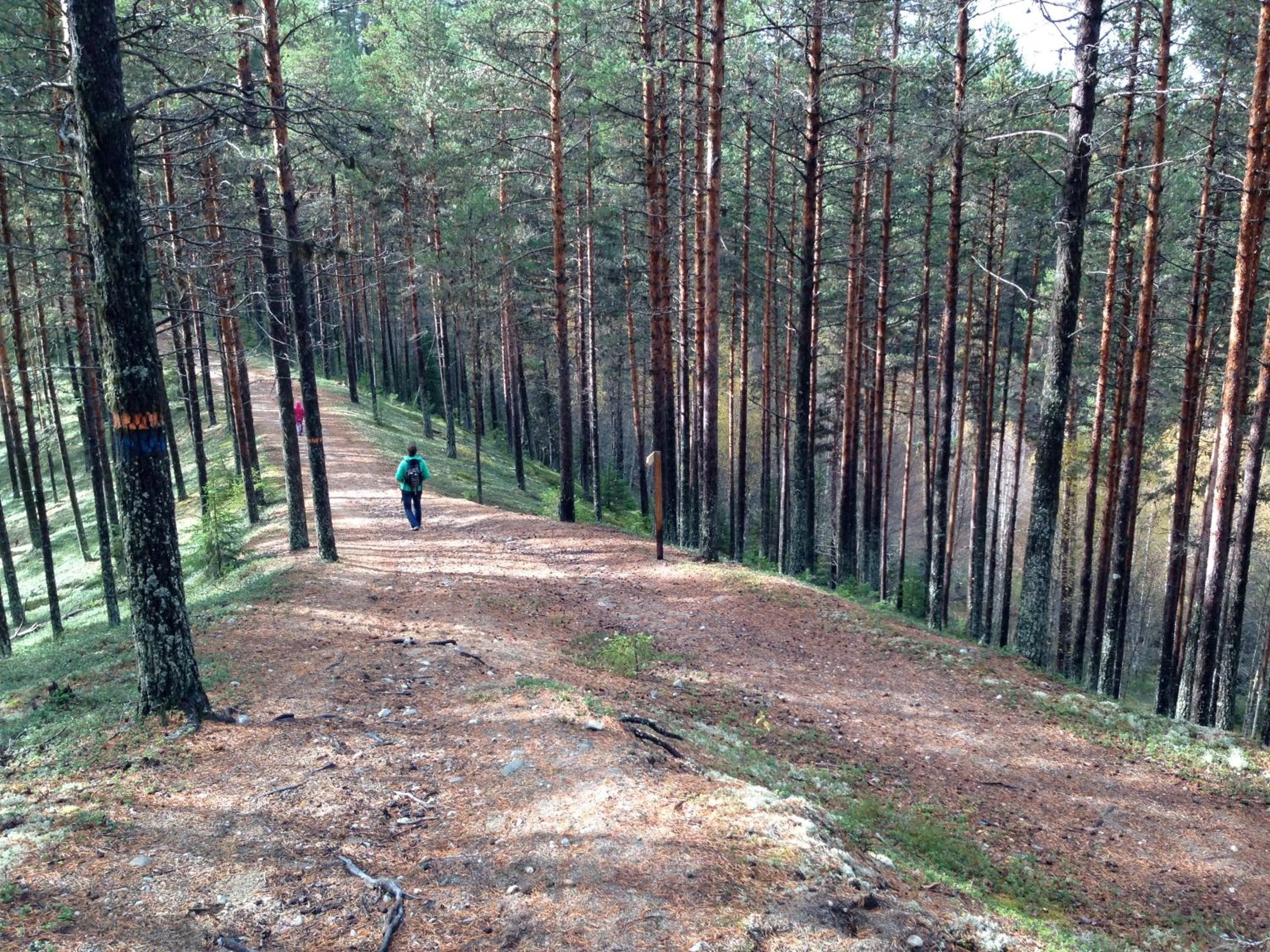 View (from property/room) in Hotell Vindelngallerian