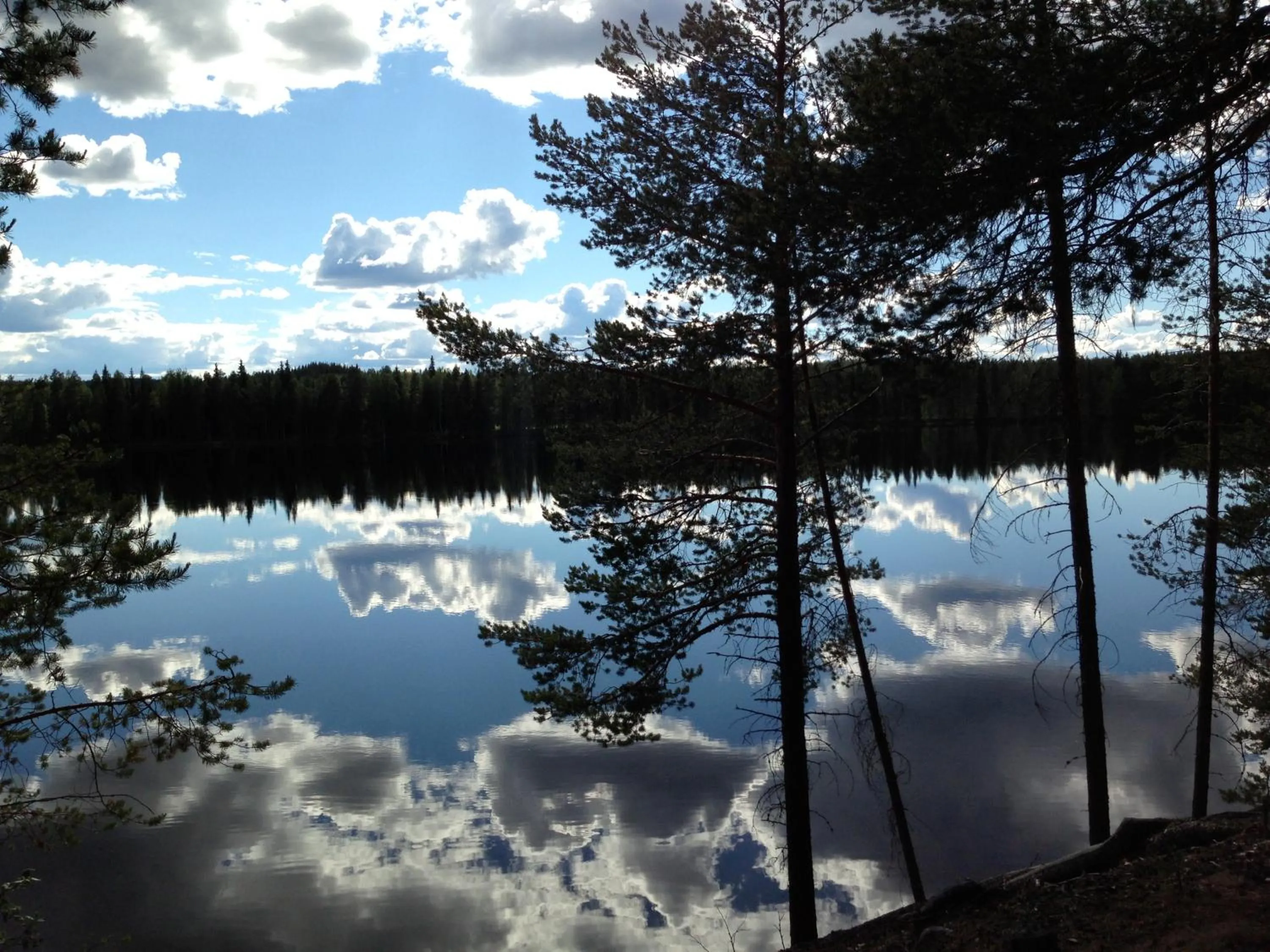 Summer in Hotell Vindelngallerian