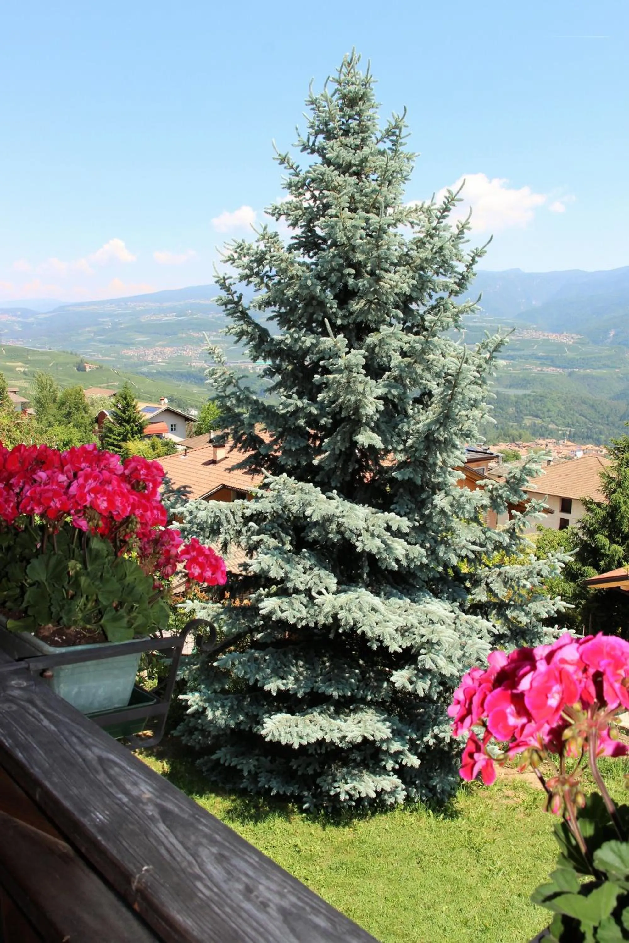 Garden in B&B Casa Delle Fate