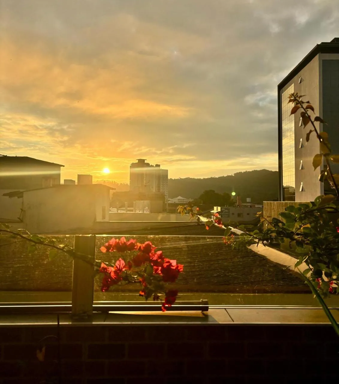 Natural landscape in Hotelcity