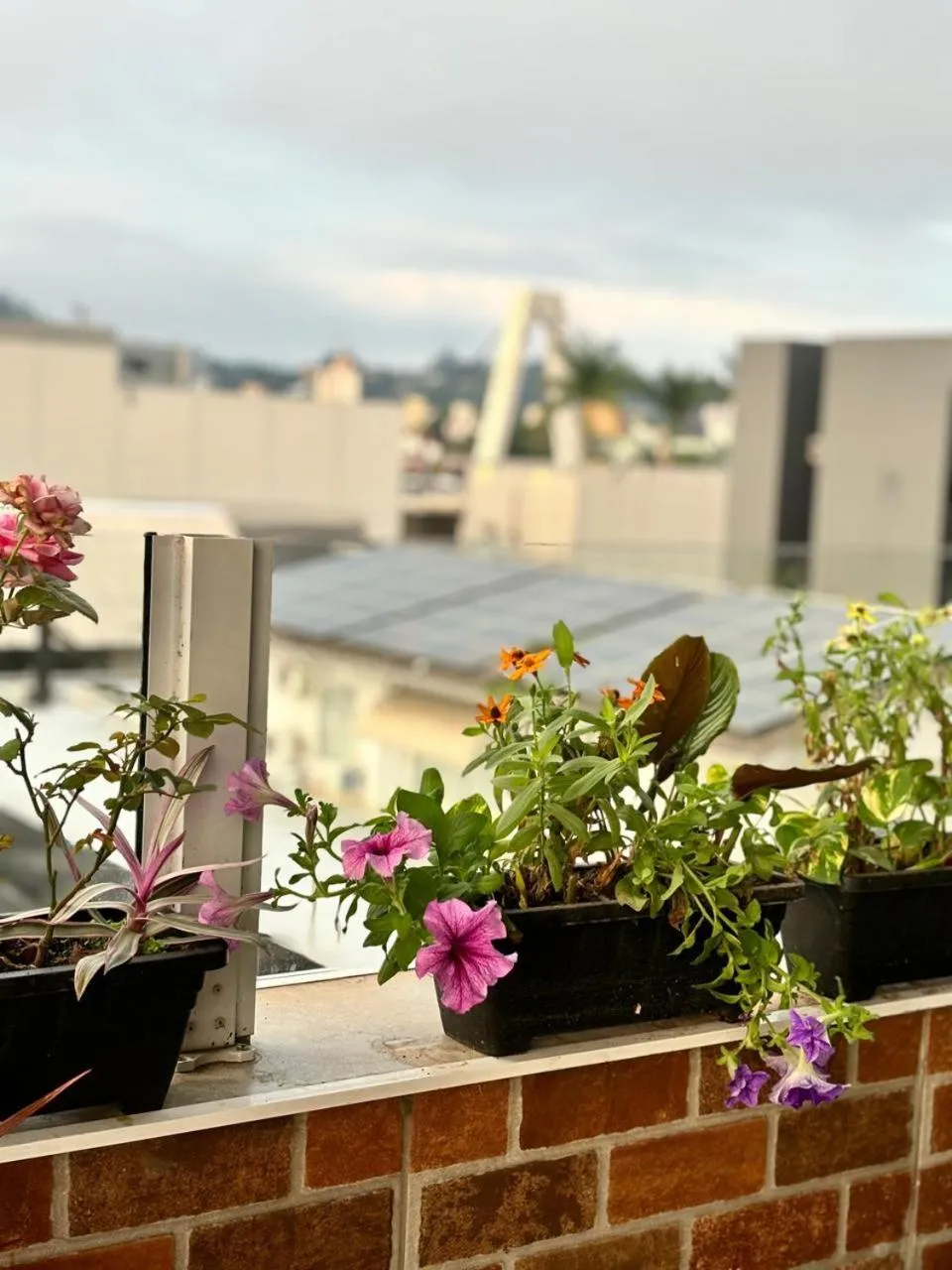 Garden in Hotelcity