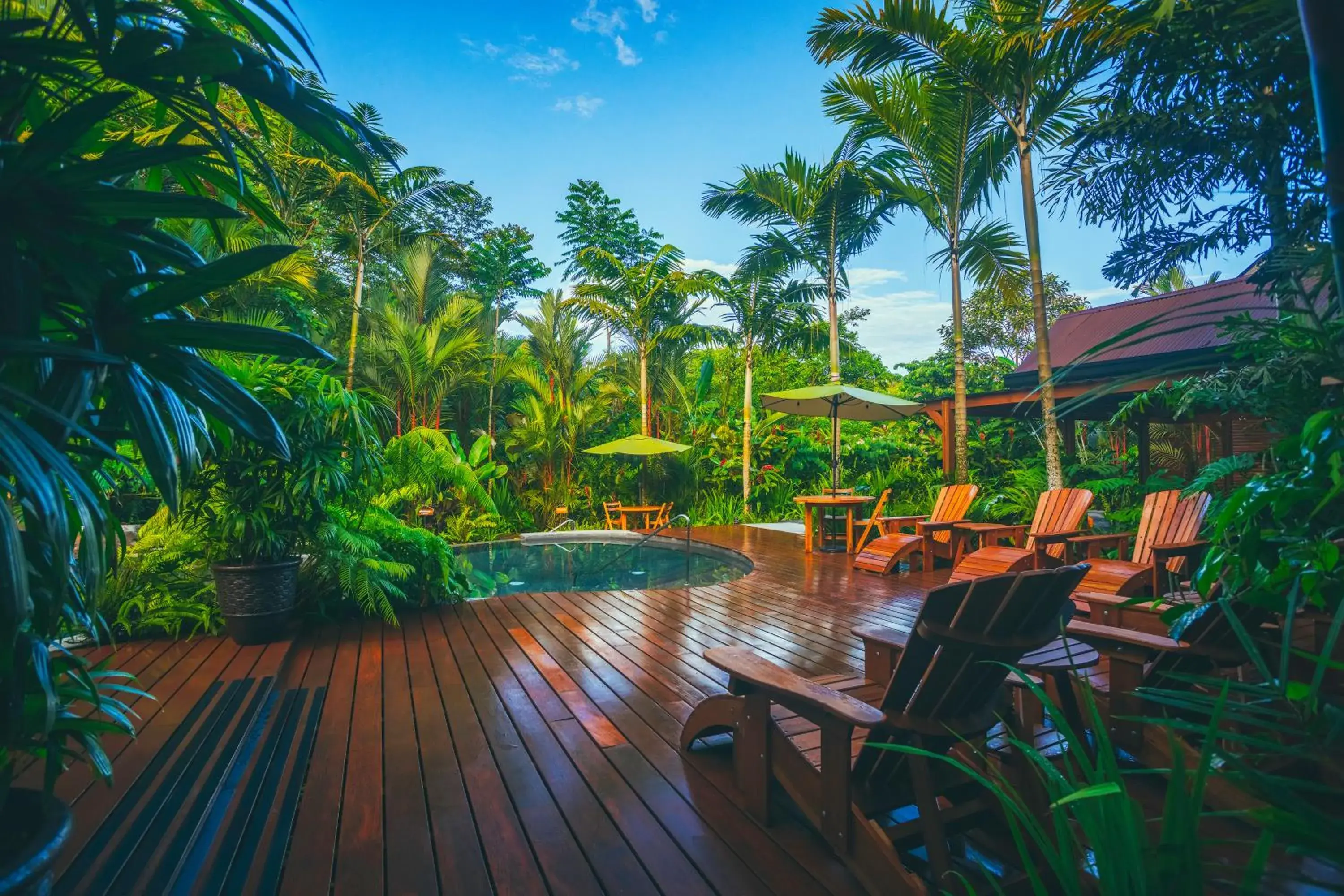 Garden view in Amor Arenal Adults Friendly Garden view in Amor Arenal Adults Friendly