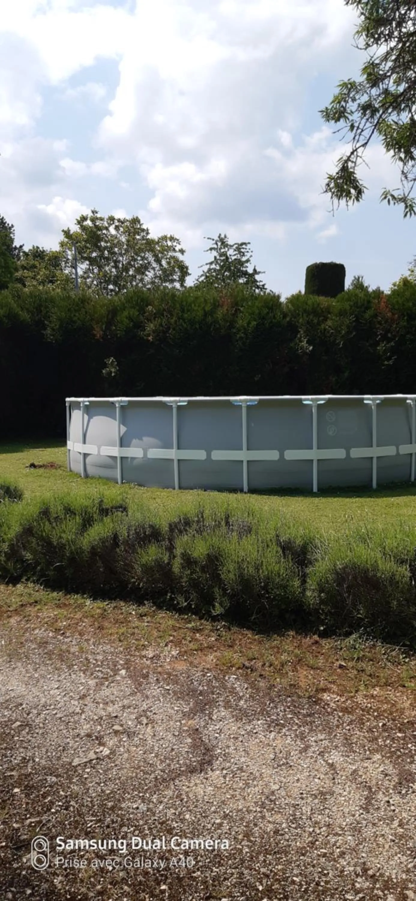 Garden in chez sylvie et jean-yves