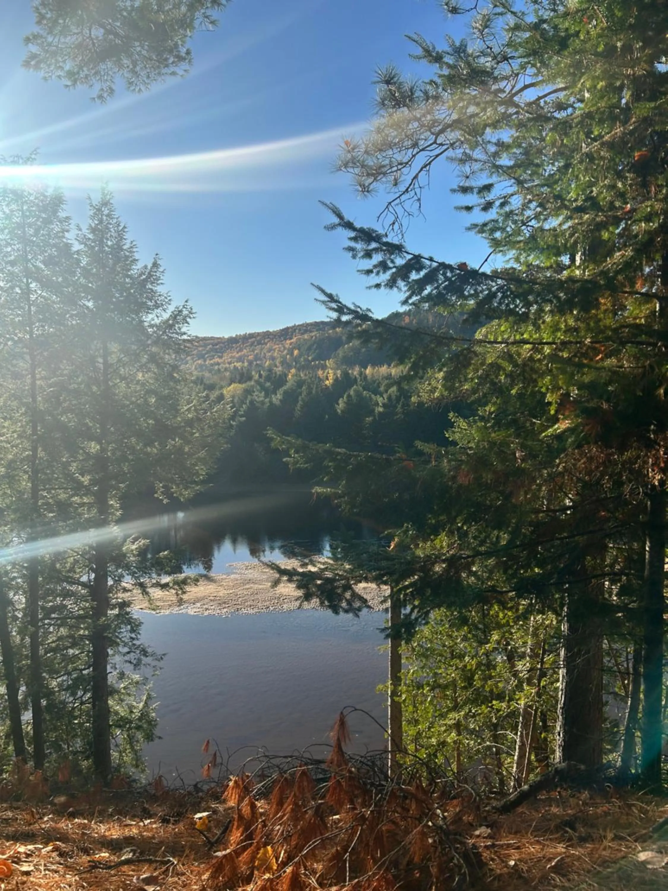 Auberge le Cosy Tremblant