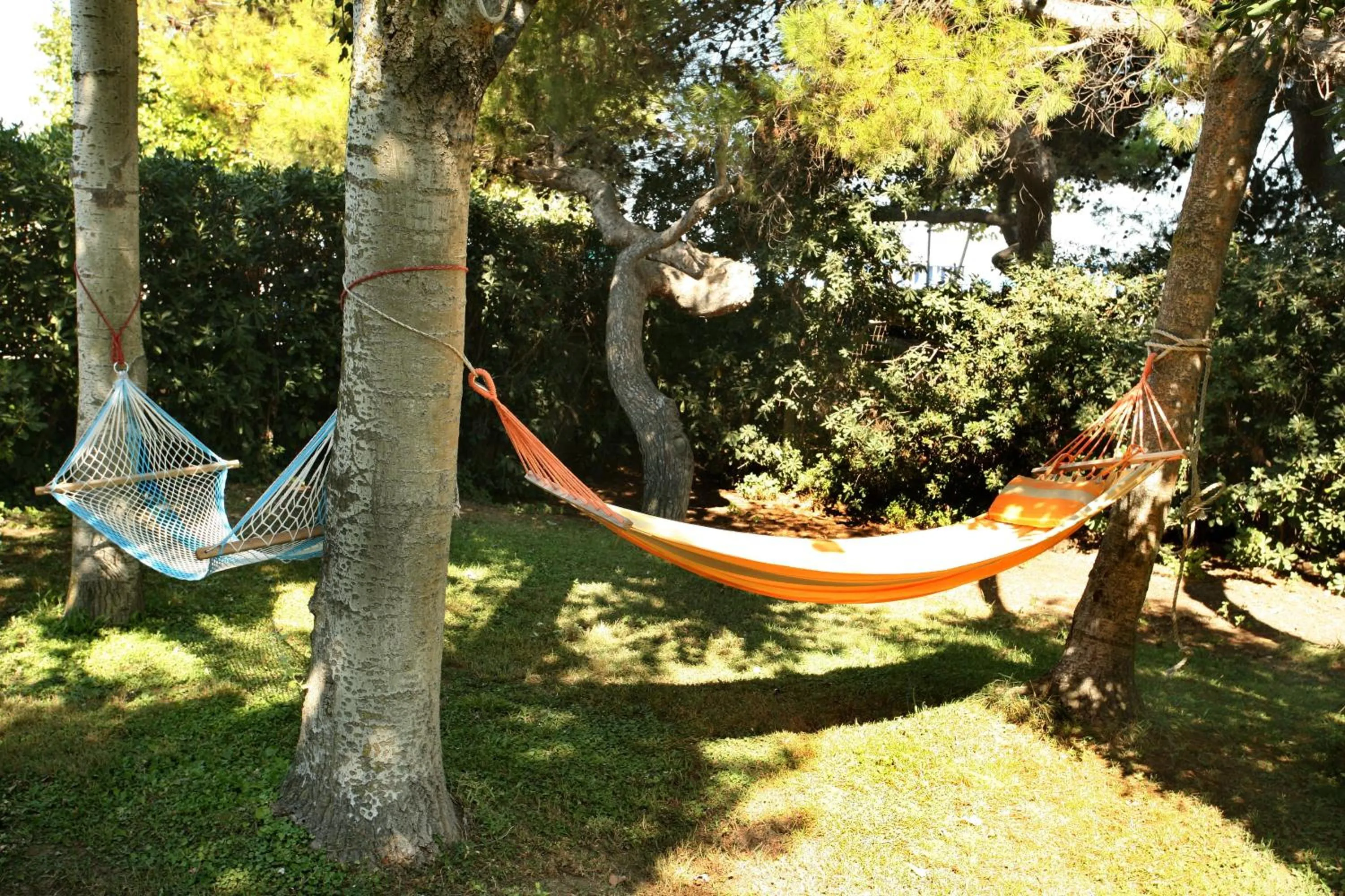 Garden in B&B Il Parco Dei Pini