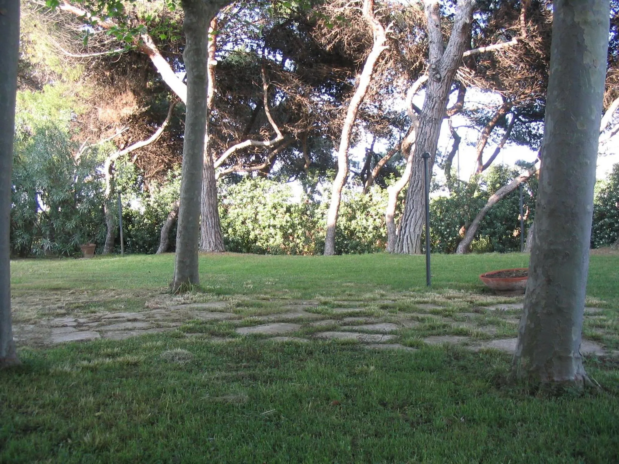 Garden in B&B Il Parco Dei Pini