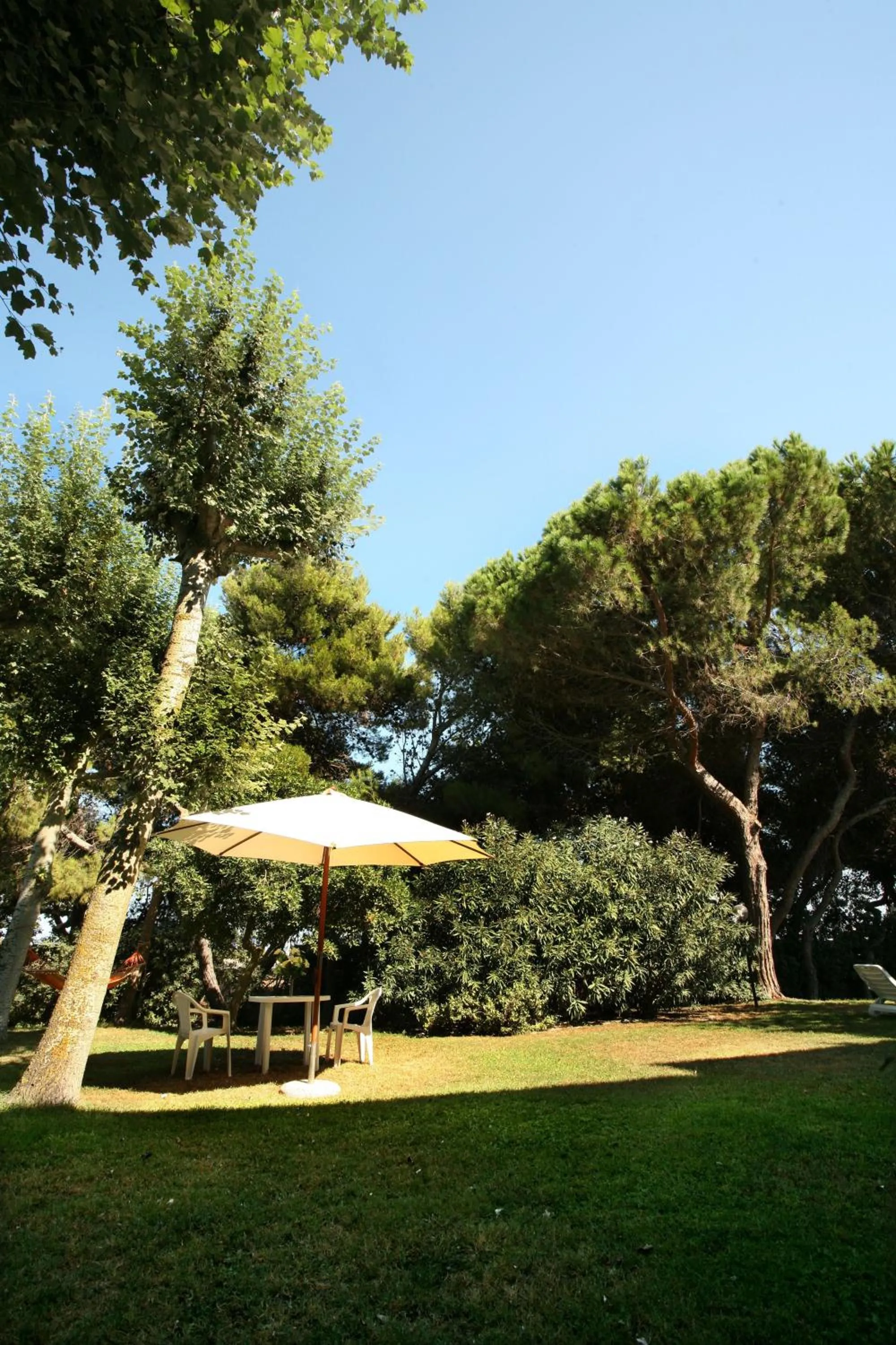 Garden in B&B Il Parco Dei Pini