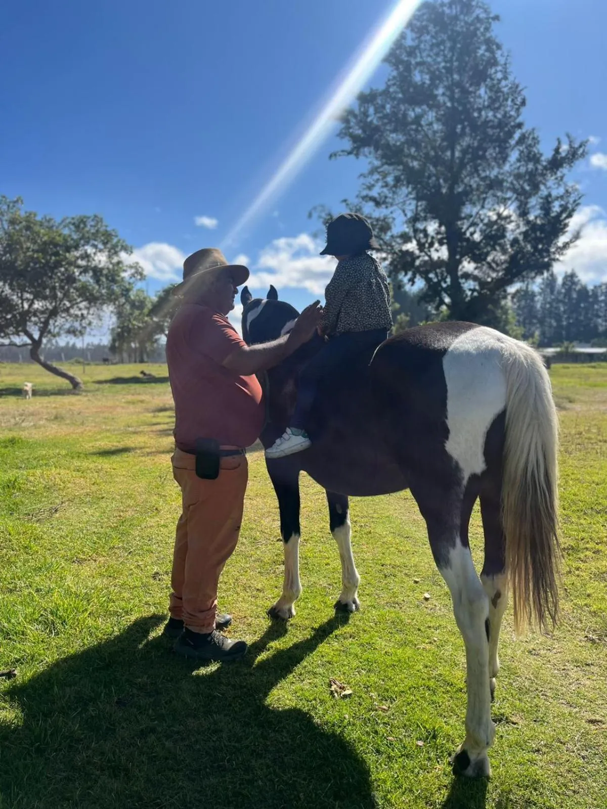 Horse-riding in Quito Airport Suites Hotel