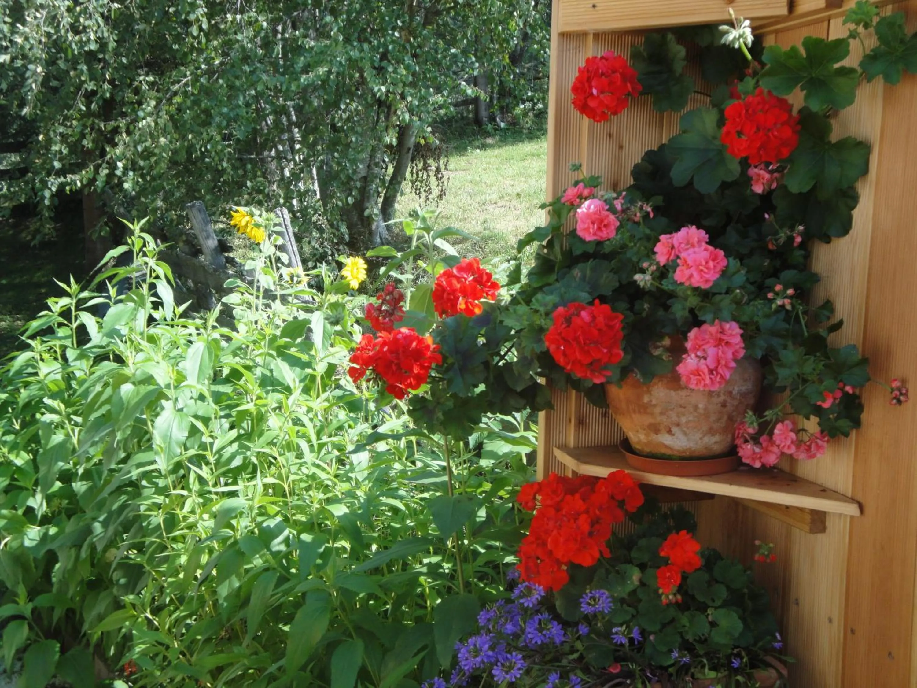 Summer in Hotel Pension Schwaiger